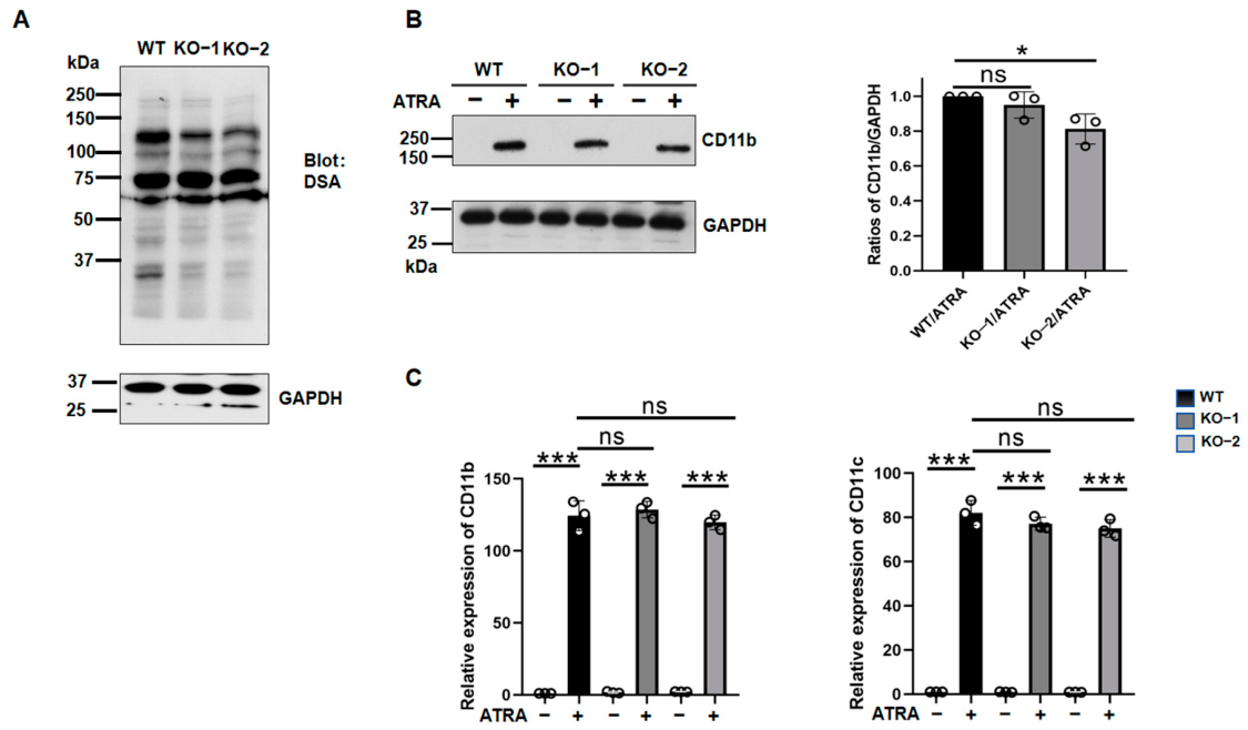 Biomolecules 16 00756 g005 Biomolecules 16 00756 g005