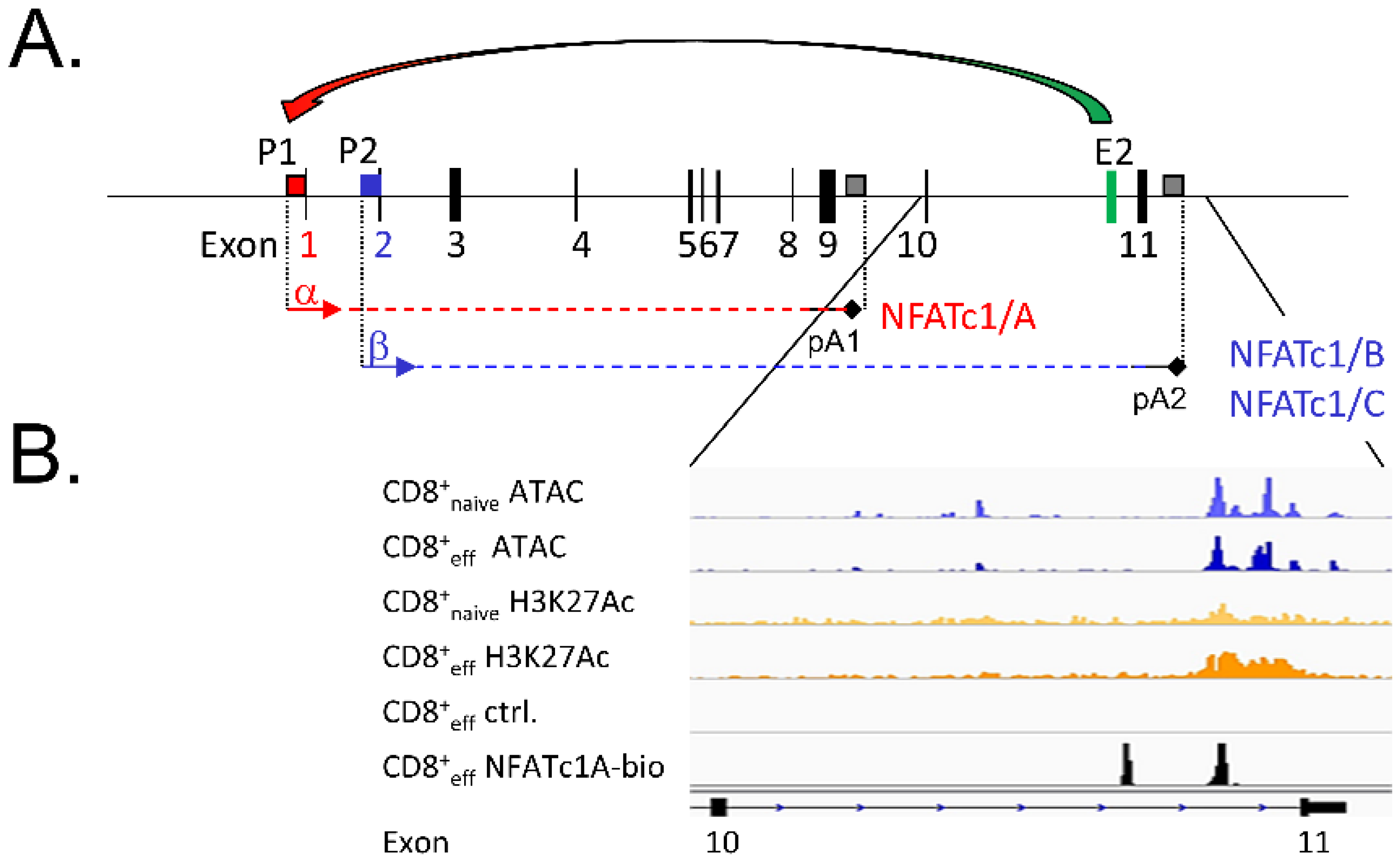 Biomolecules 16 00757 g003 Biomolecules 16 00757 g003