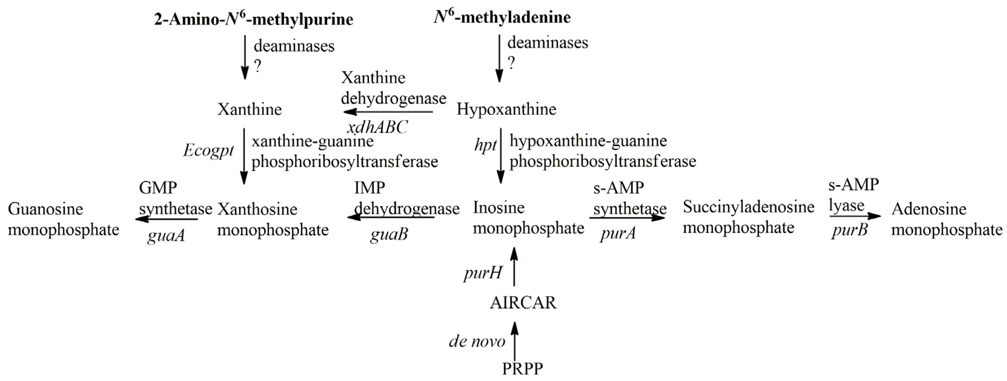 Biomolecules 16 00758 g003 Biomolecules 16 00758 g003