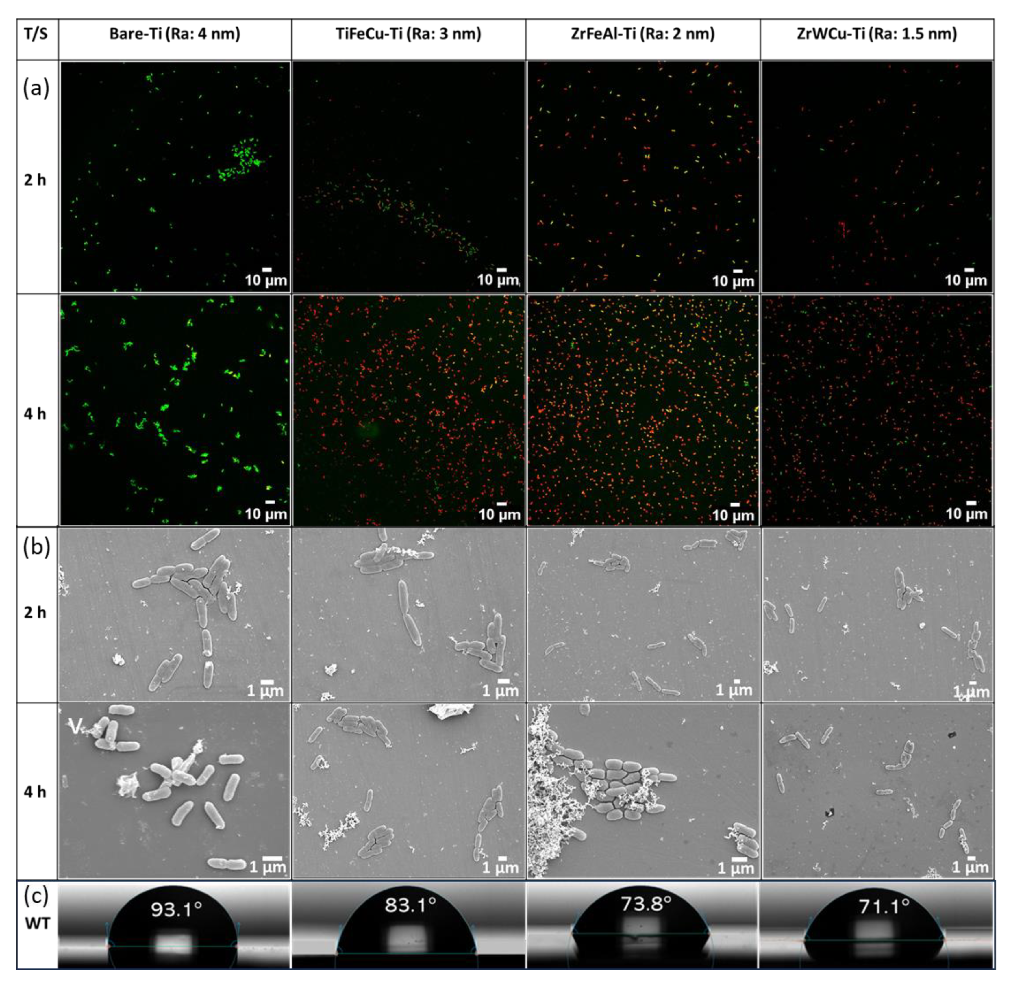 Biomolecules 16 00759 g005