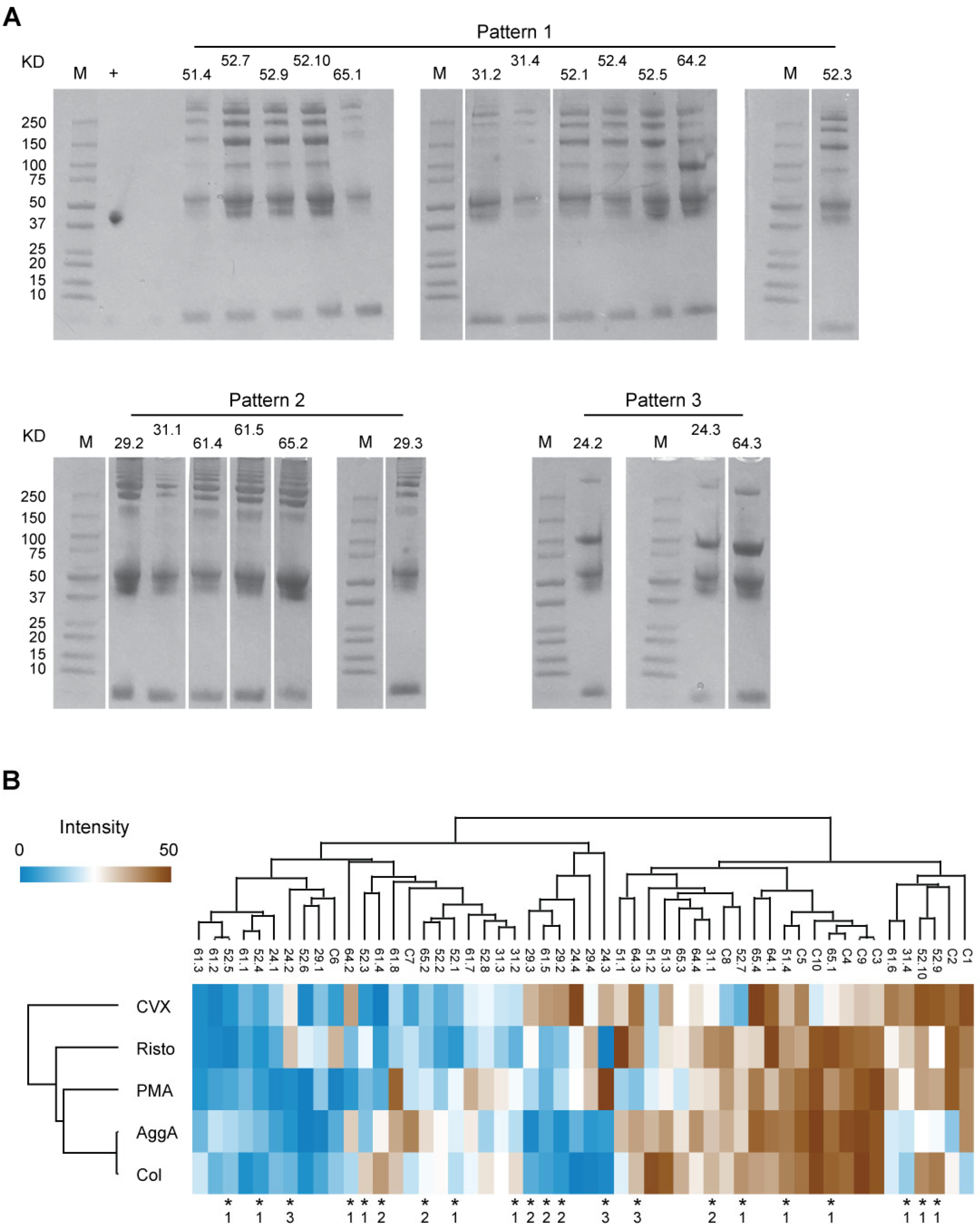 Biomolecules 16 00761 g004