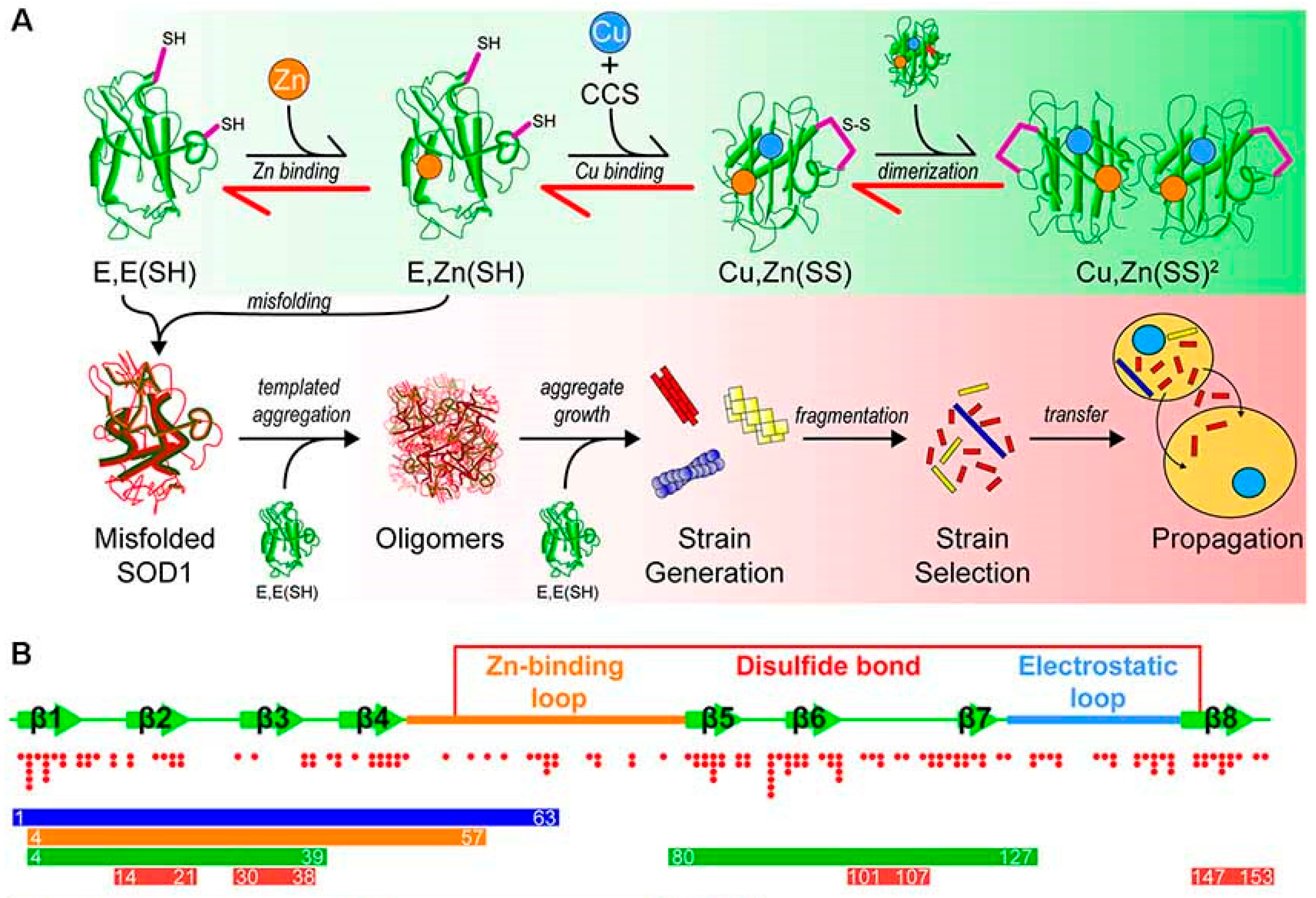 Biomolecules 16 00790 g009 Biomolecules 16 00790 g009