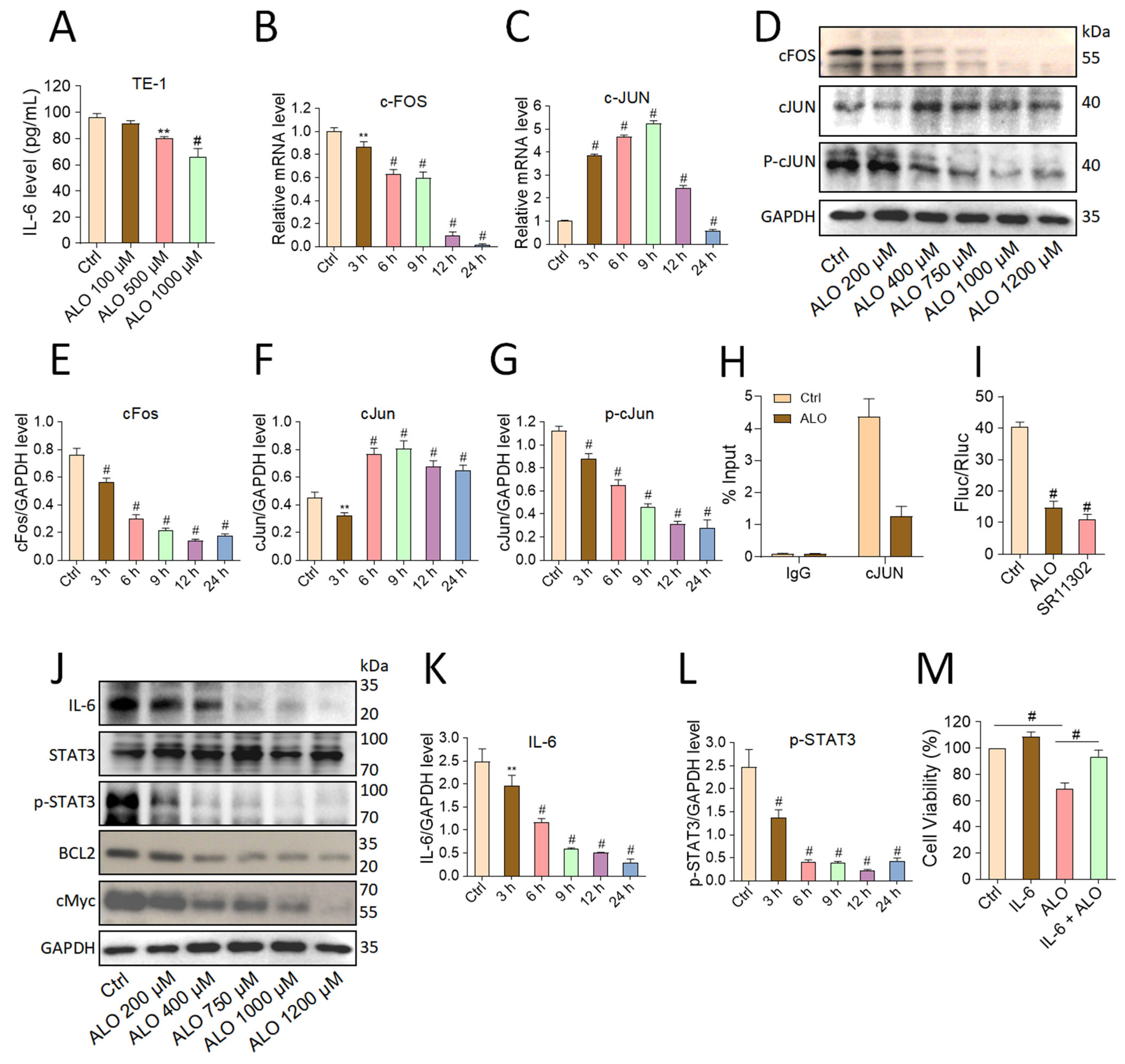 Biomolecules 16 00791 g004 Biomolecules 16 00791 g004