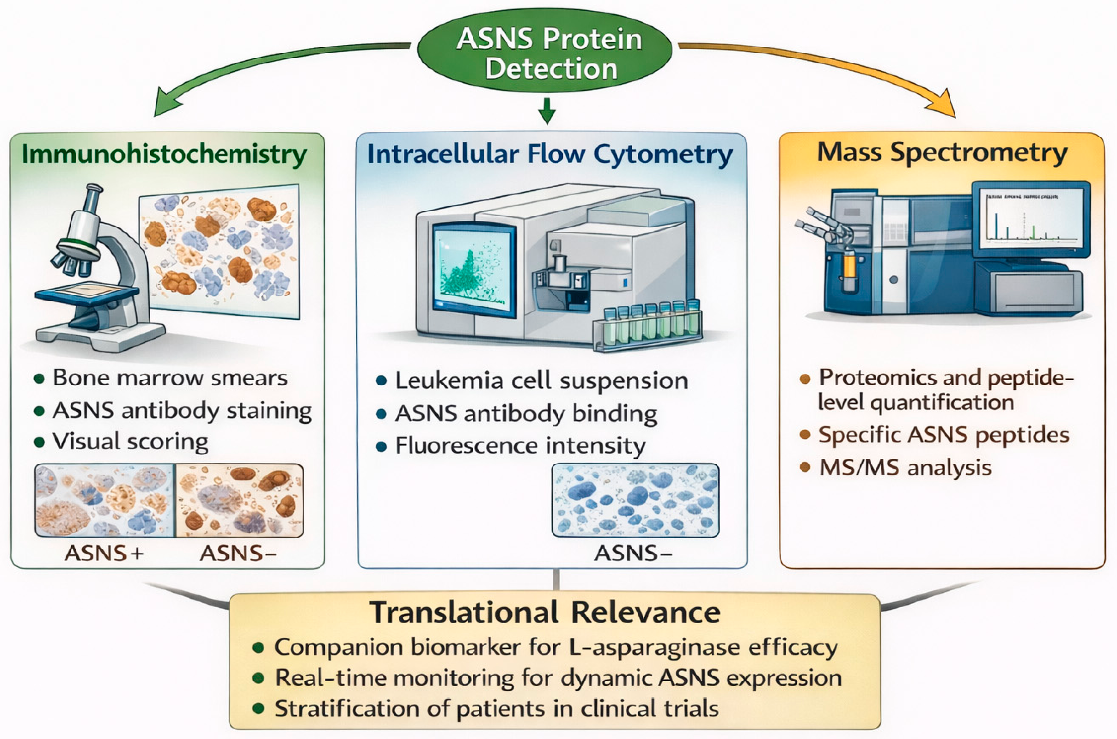 Biomolecules 16 00792 g003