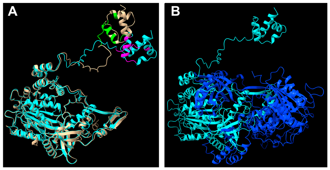 Biomolecules 16 00803 g002