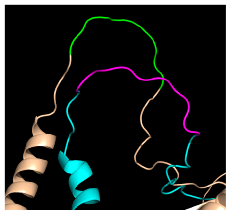 Biomolecules 16 00803 g007