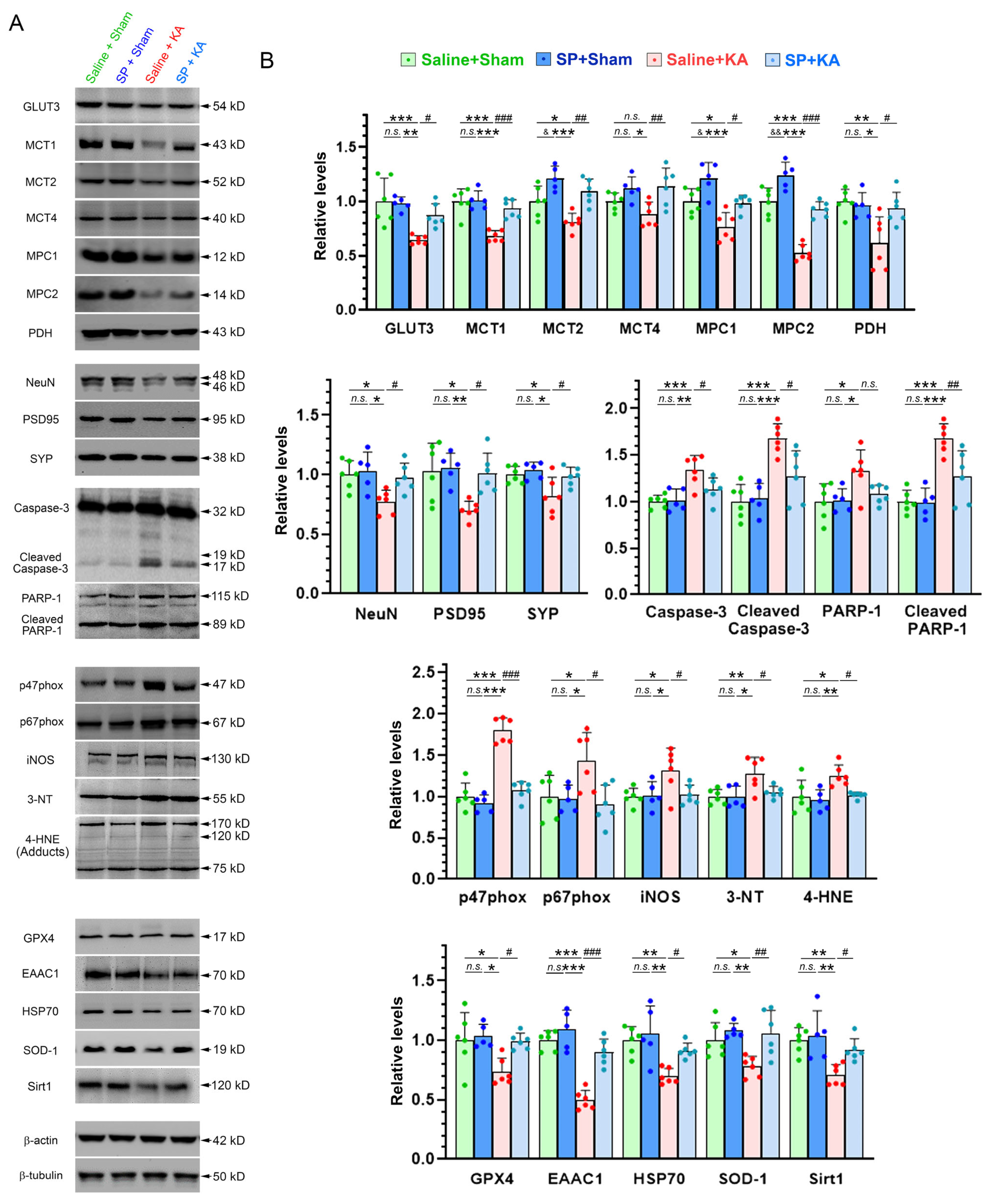 Biomolecules 16 00805 g006