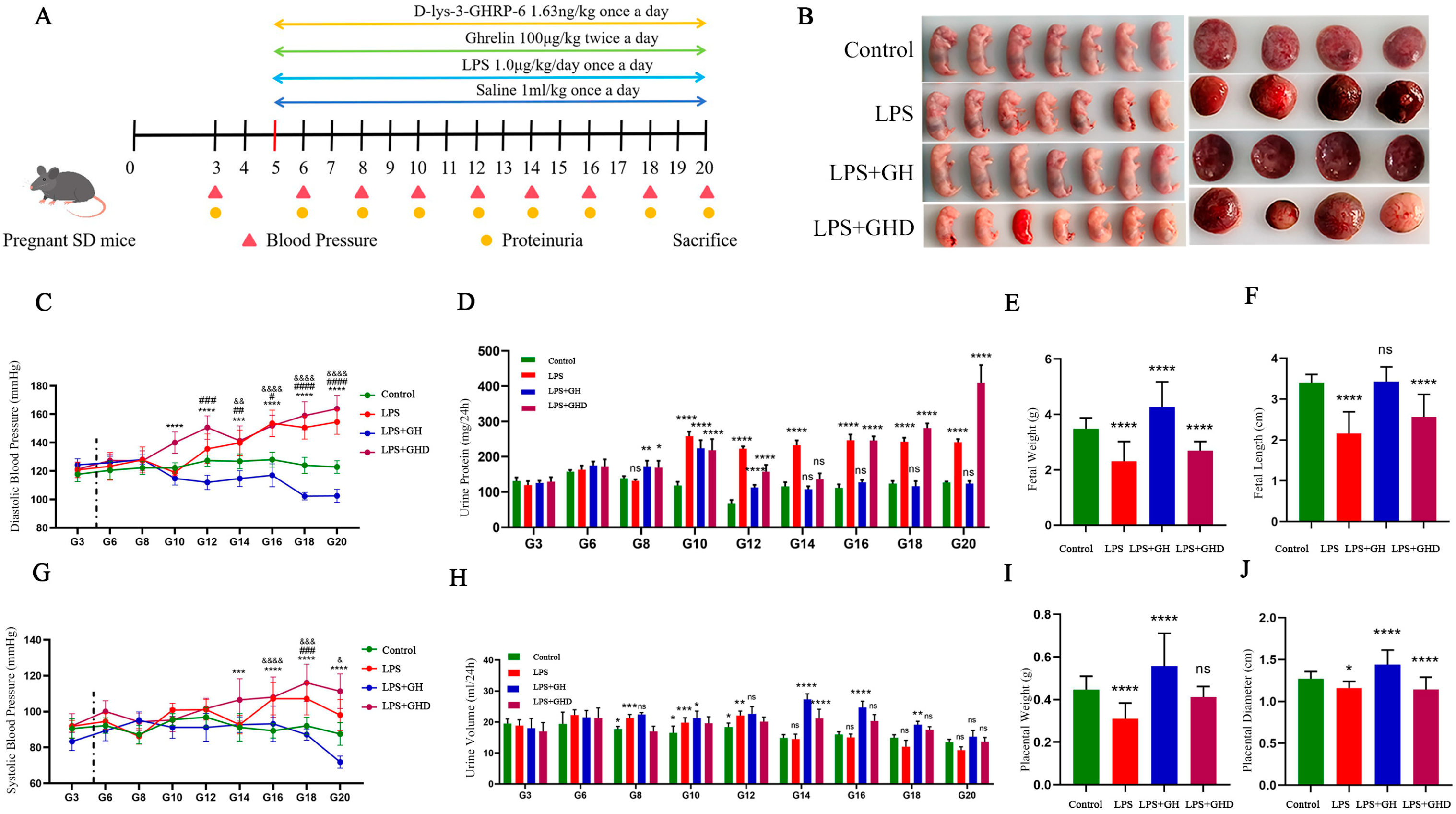 Biomolecules 16 00809 g002