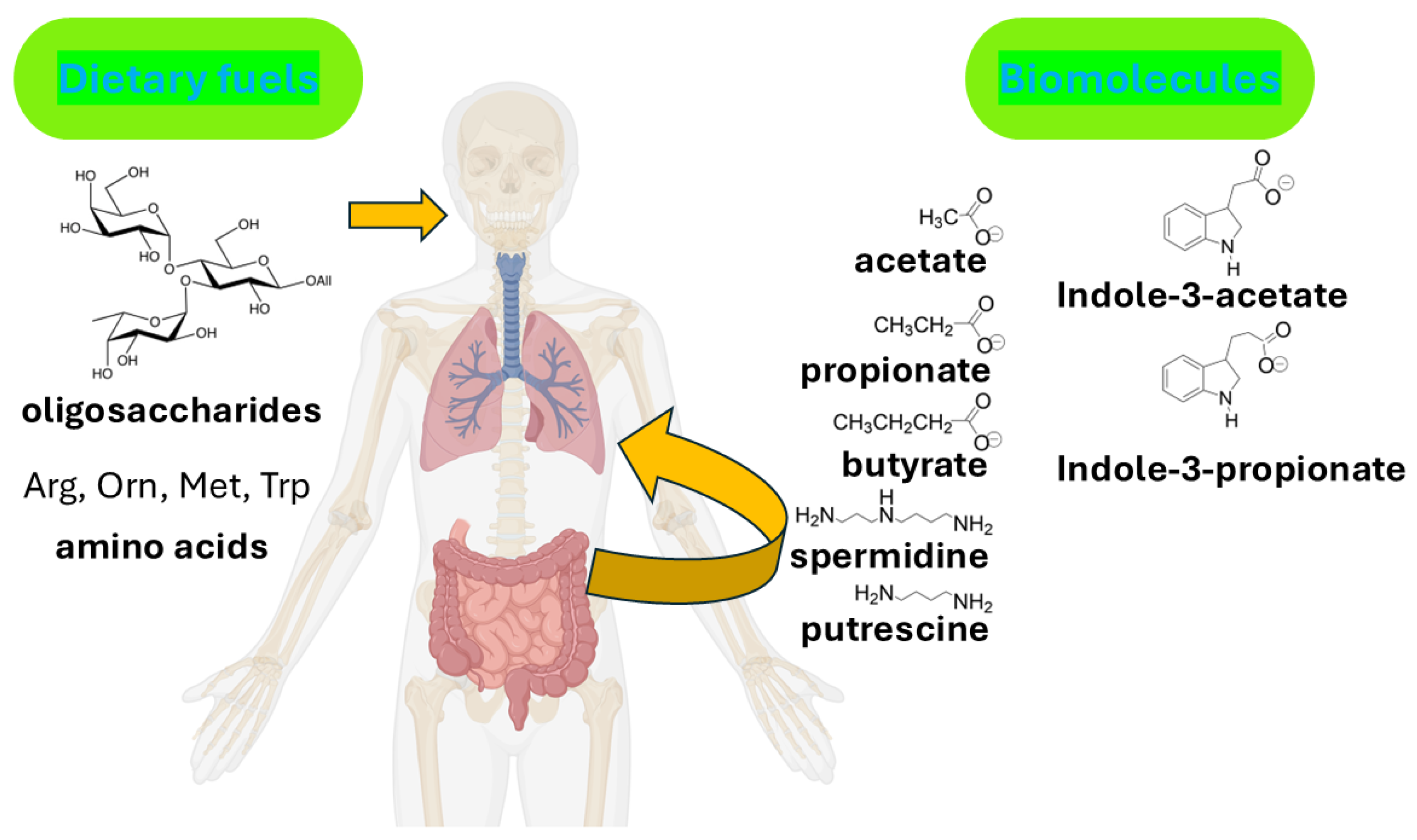 Biomolecules 16 00833 g001