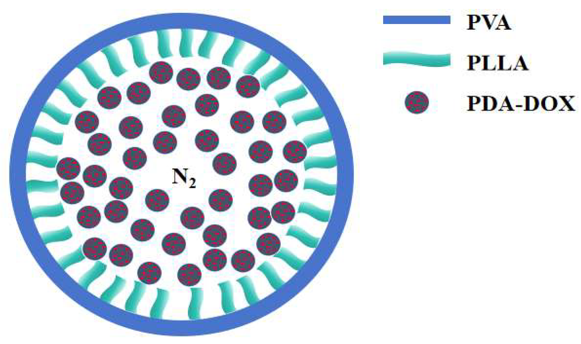 Biomolecules 16 00834 g003