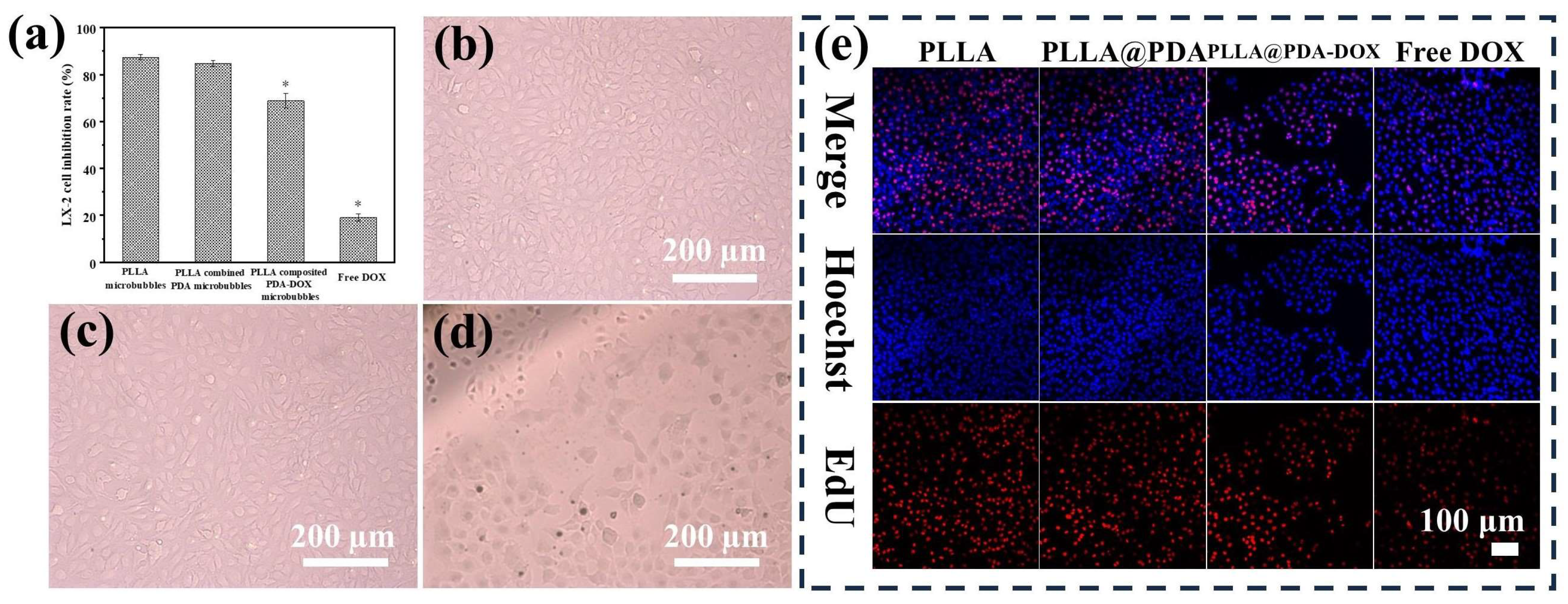 Biomolecules 16 00834 g006