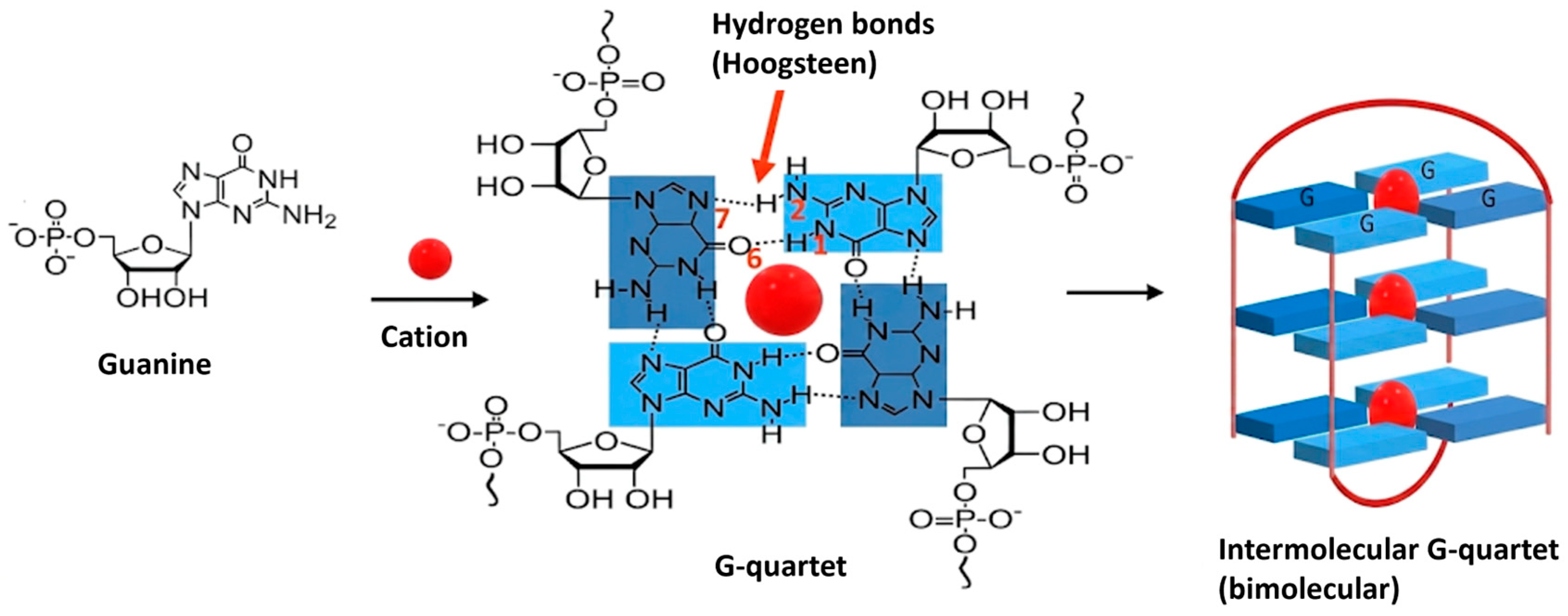 Biomolecules 16 00835 g001
