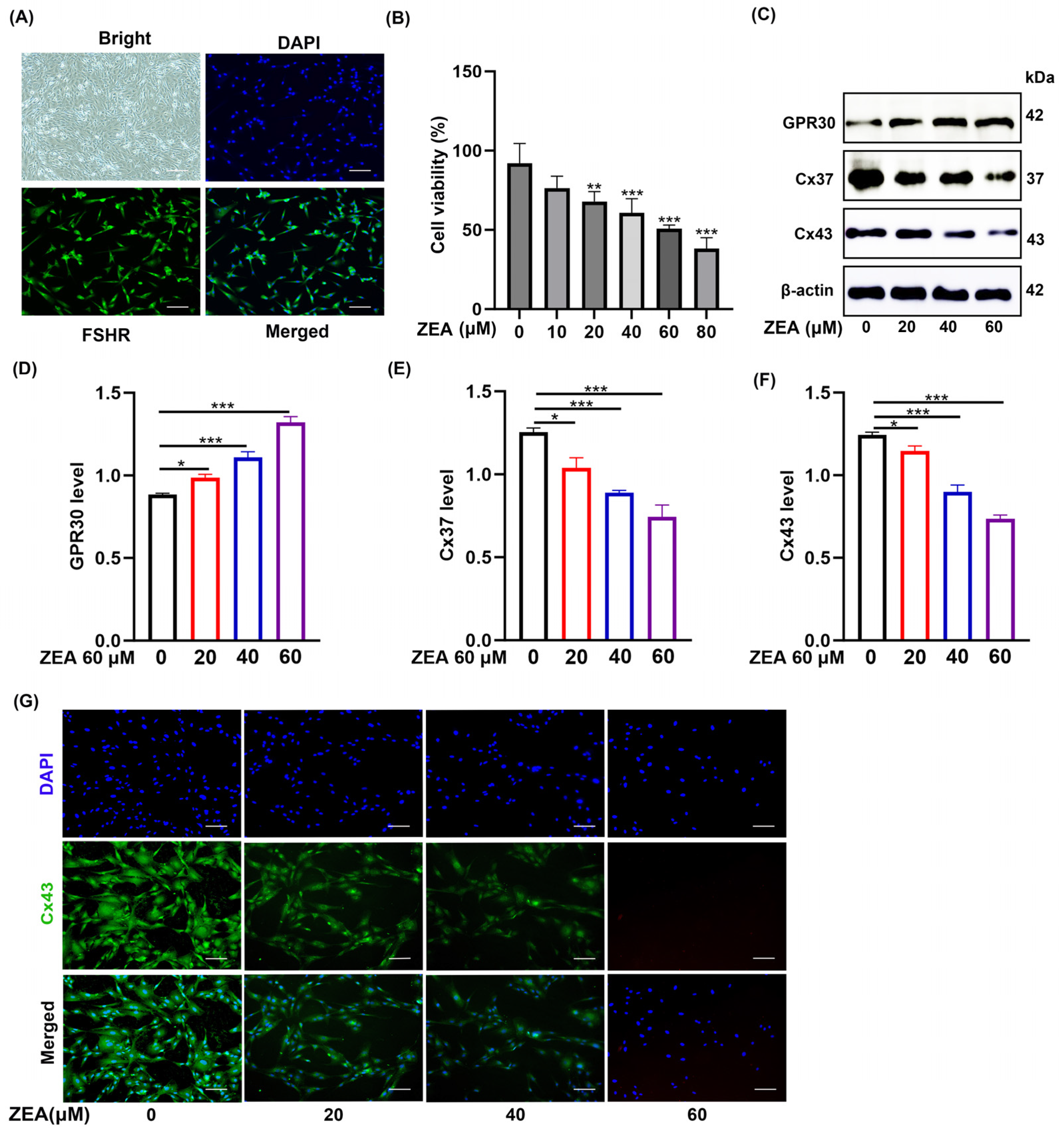 Biomolecules 16 00837 g001 Biomolecules 16 00837 g001