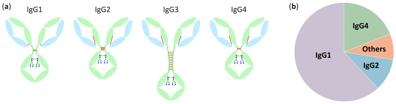 Biomolecules 16 00840 g003 Biomolecules 16 00840 g003