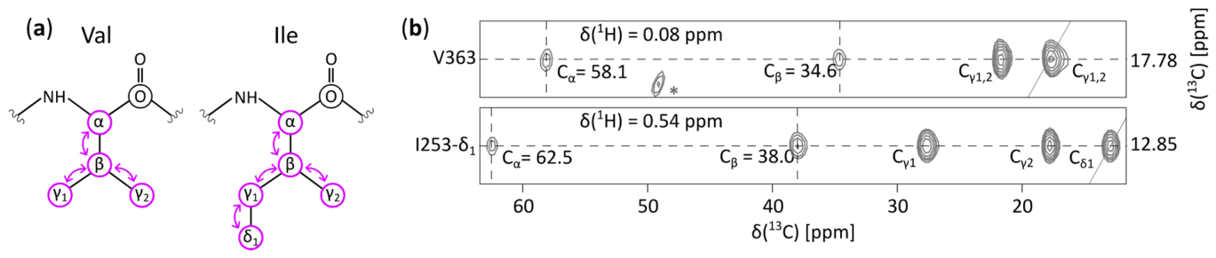 Biomolecules 16 00840 g013 Biomolecules 16 00840 g013