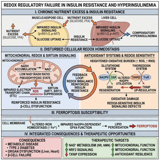 glutathione insulin resistance Reductive Stress and Ferroptosis: Linking Insulin Signaling to Metabolic  Dysfunction