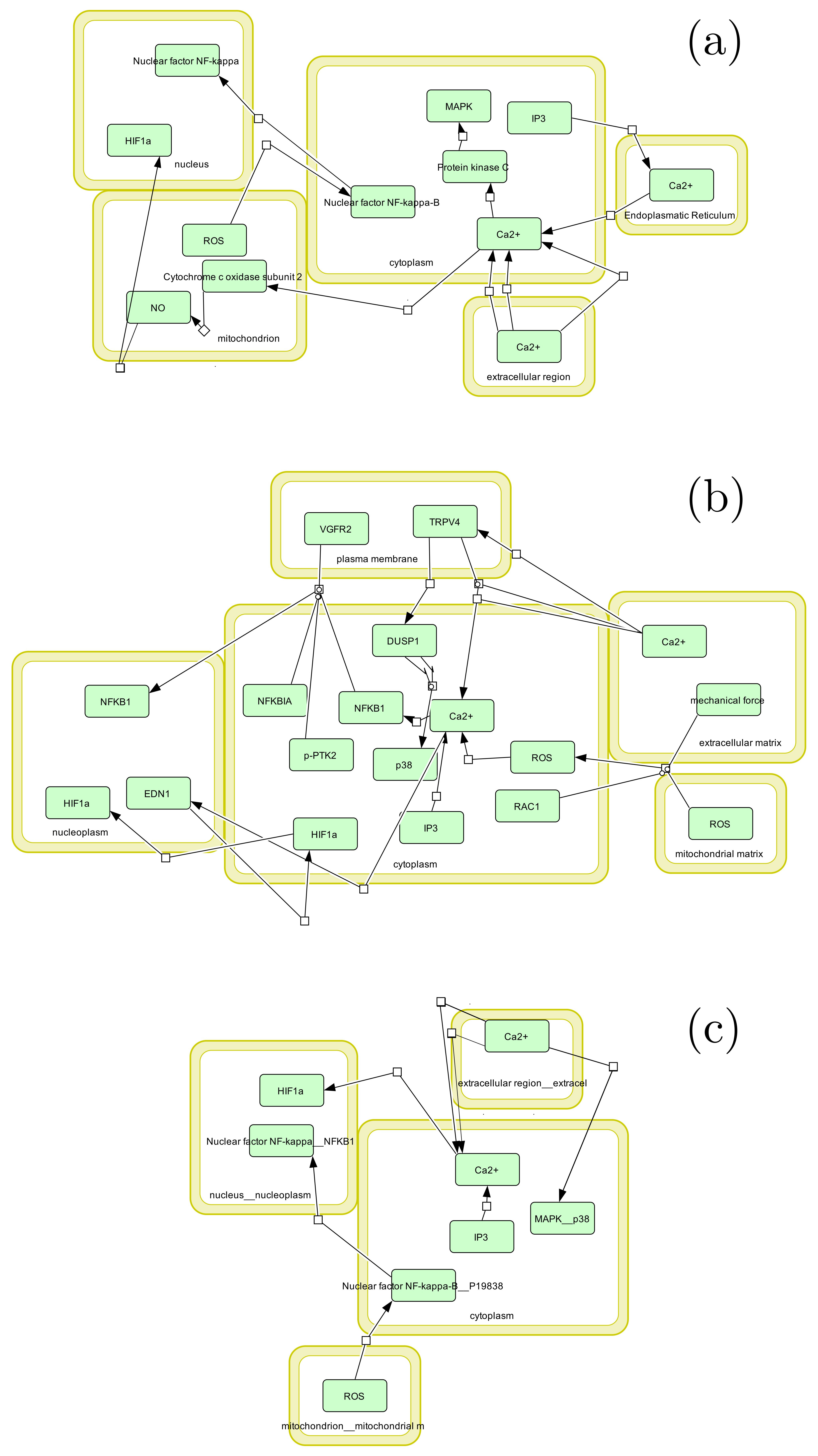 Biomolecules 16 00859 g001