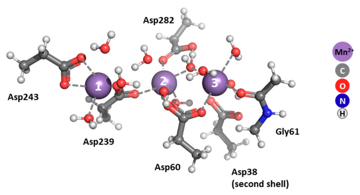 Biomolecules 16 00860 g007 Biomolecules 16 00860 g007