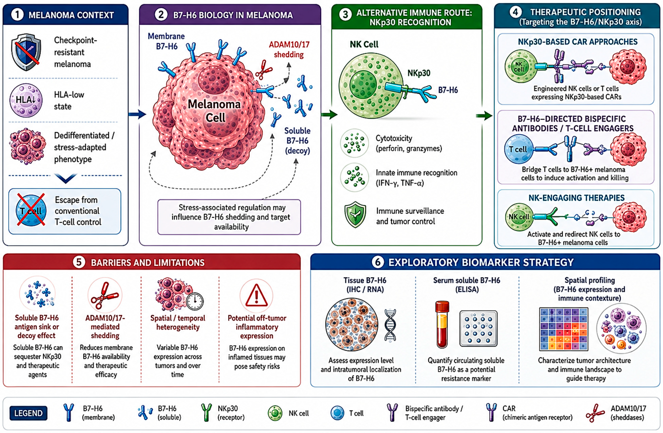 Biomolecules 16 00862 g002 Biomolecules 16 00862 g002