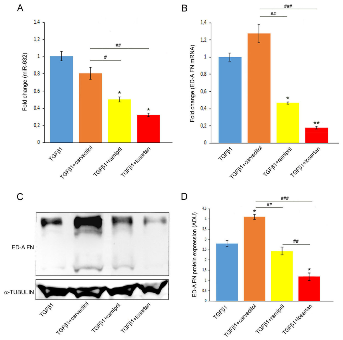 Biomolecules 16 00863 g001 Biomolecules 16 00863 g001