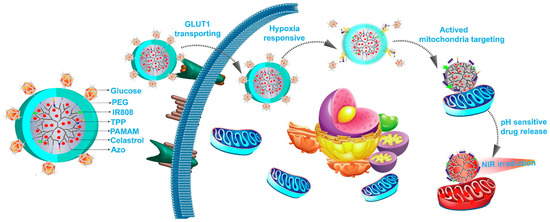 glutathione mito therapy Overcoming the Druggability Hurdles of Celastrol: A Critical Review of Advanced Drug Delivery Strategies