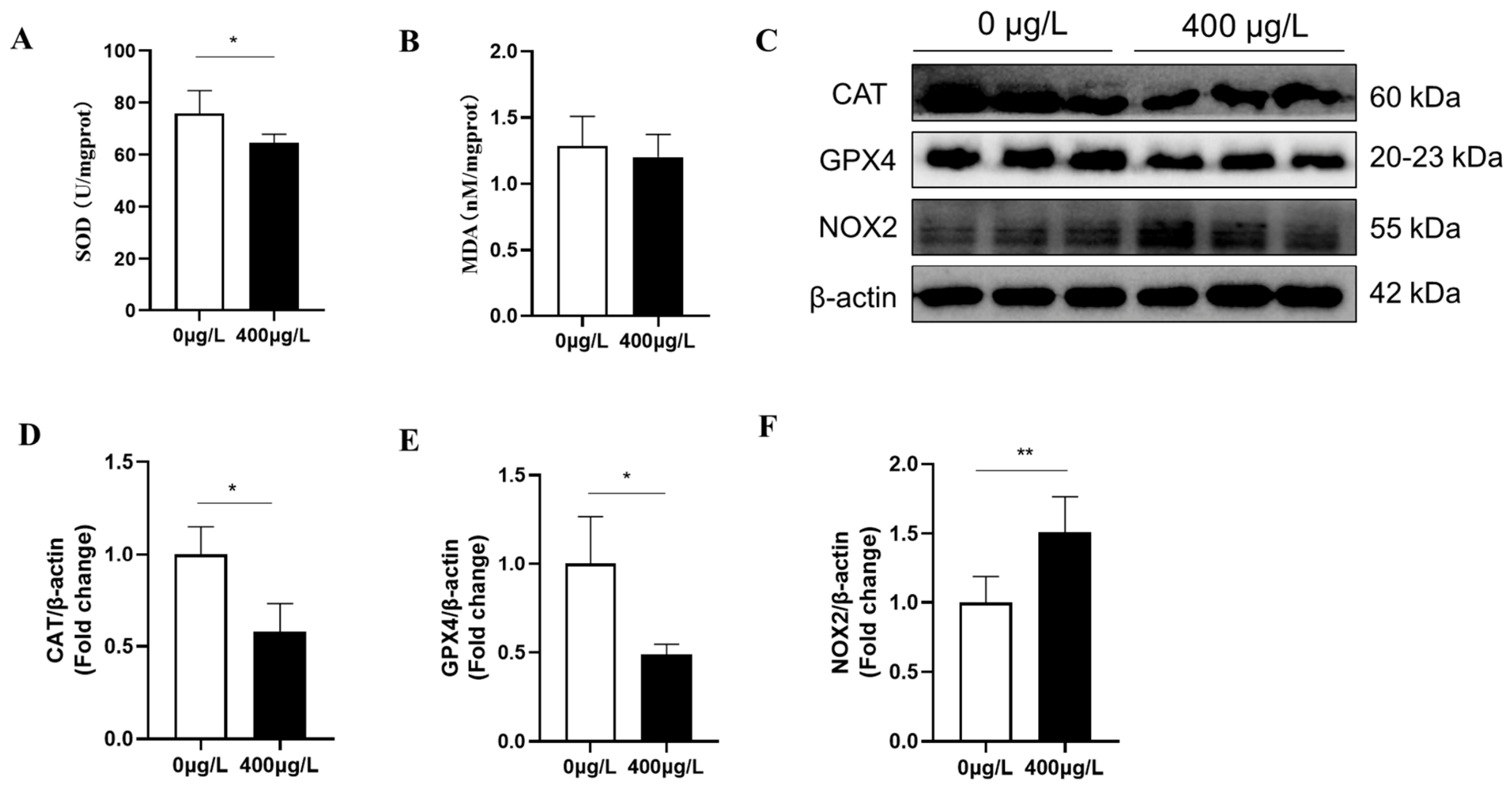 Biomolecules 16 00938 g006 Biomolecules 16 00938 g006