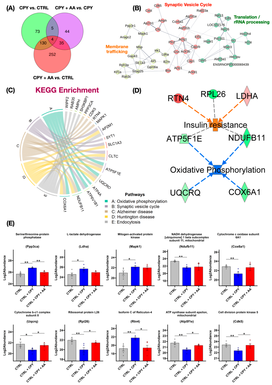 Biomolecules 16 00952 g003