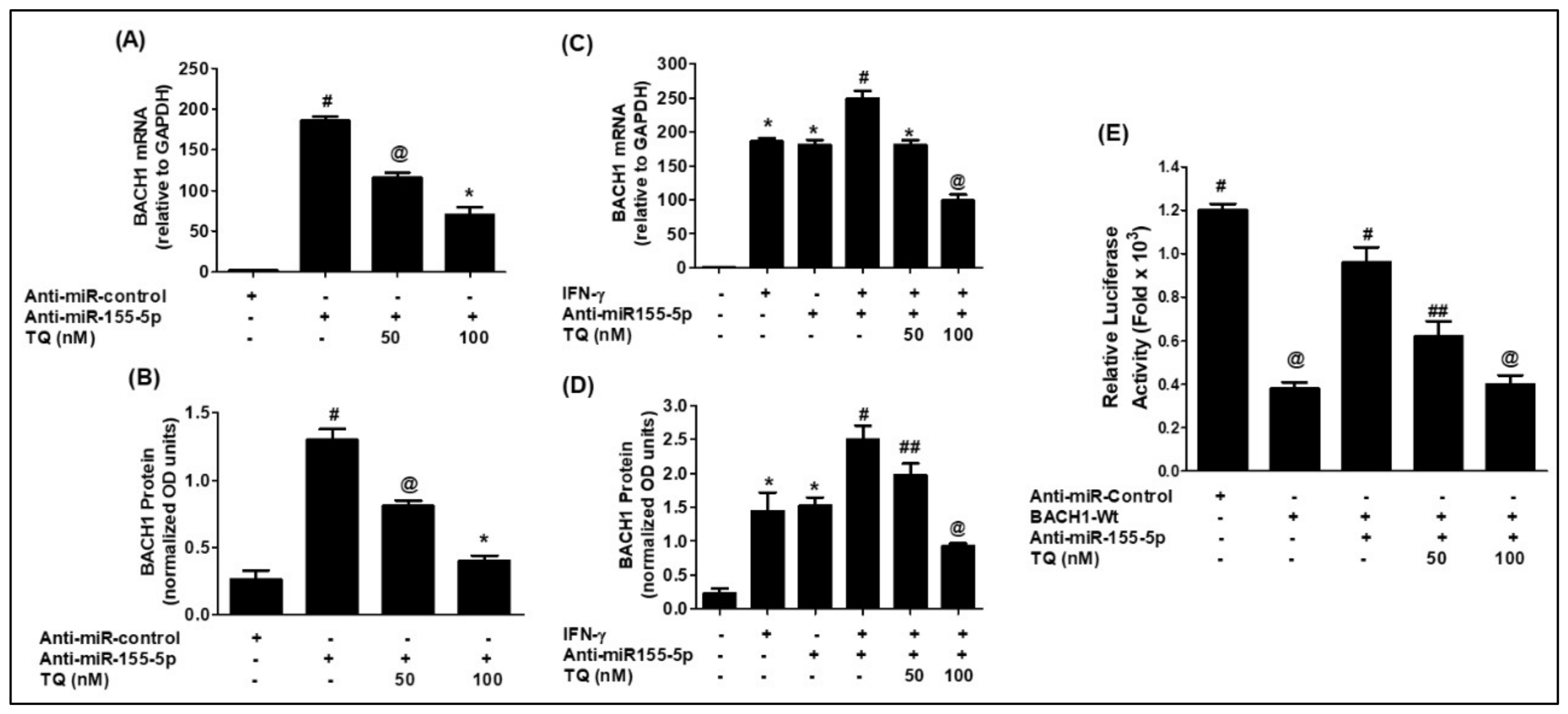 Biomolecules 16 00955 g005