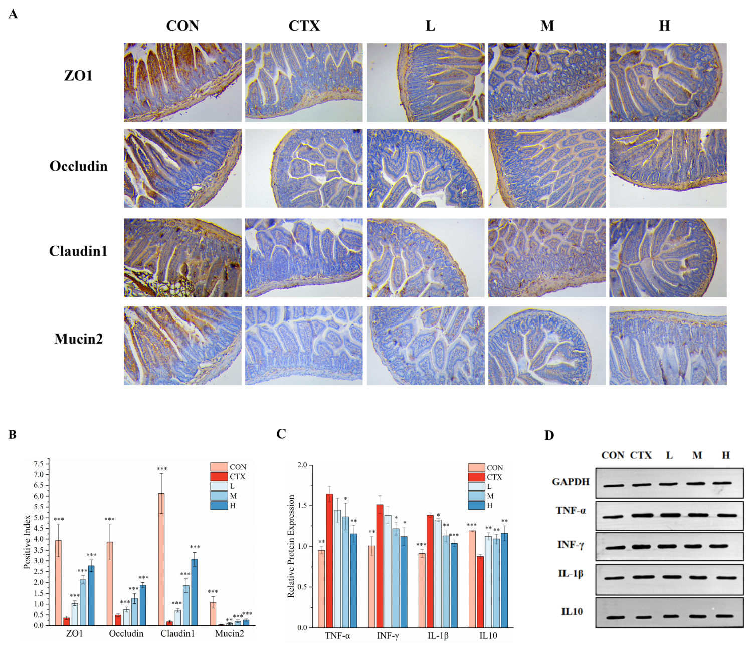 Biomolecules 16 00957 g002 Biomolecules 16 00957 g002