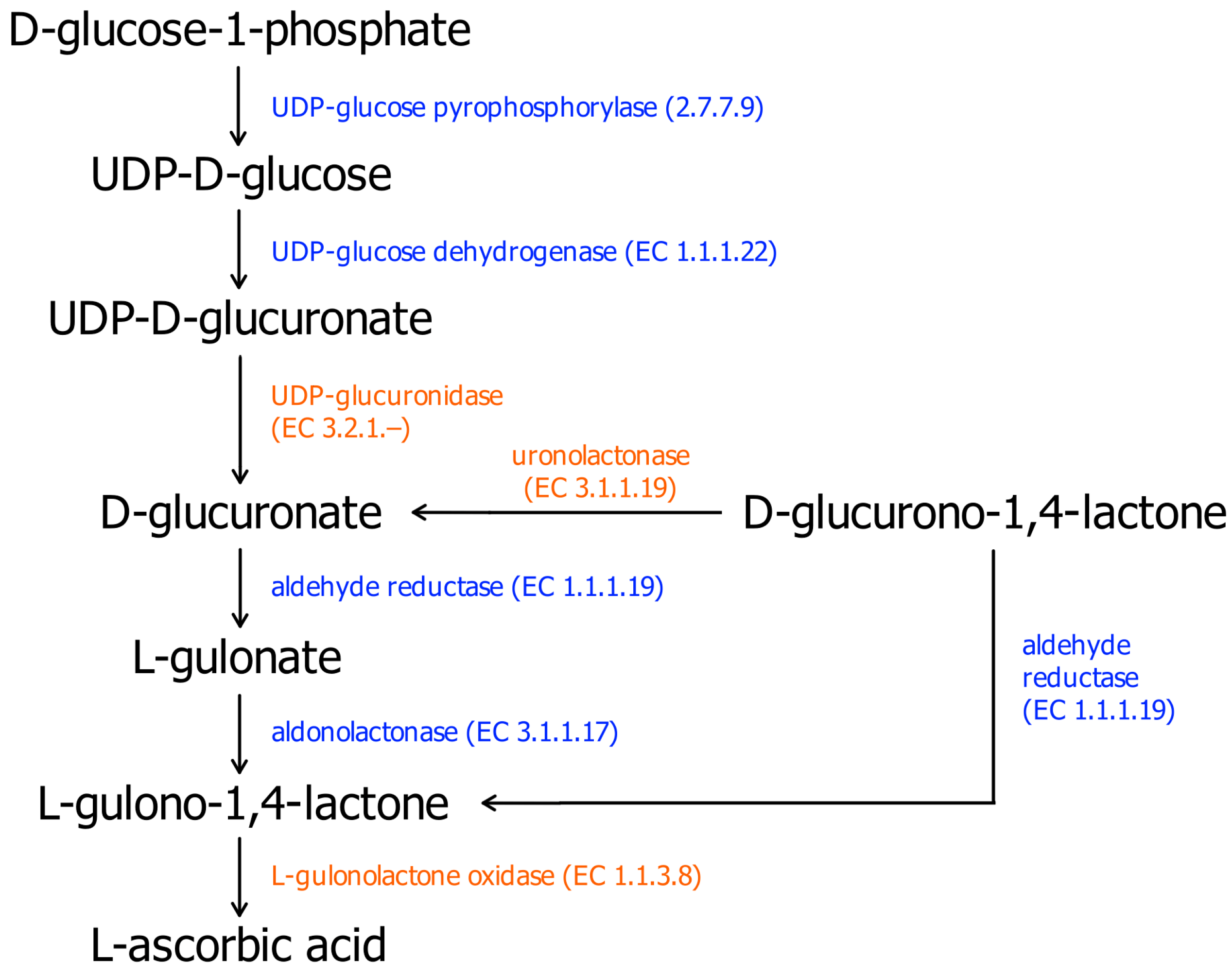 Biomolecules 16 00985 g005 Biomolecules 16 00985 g005