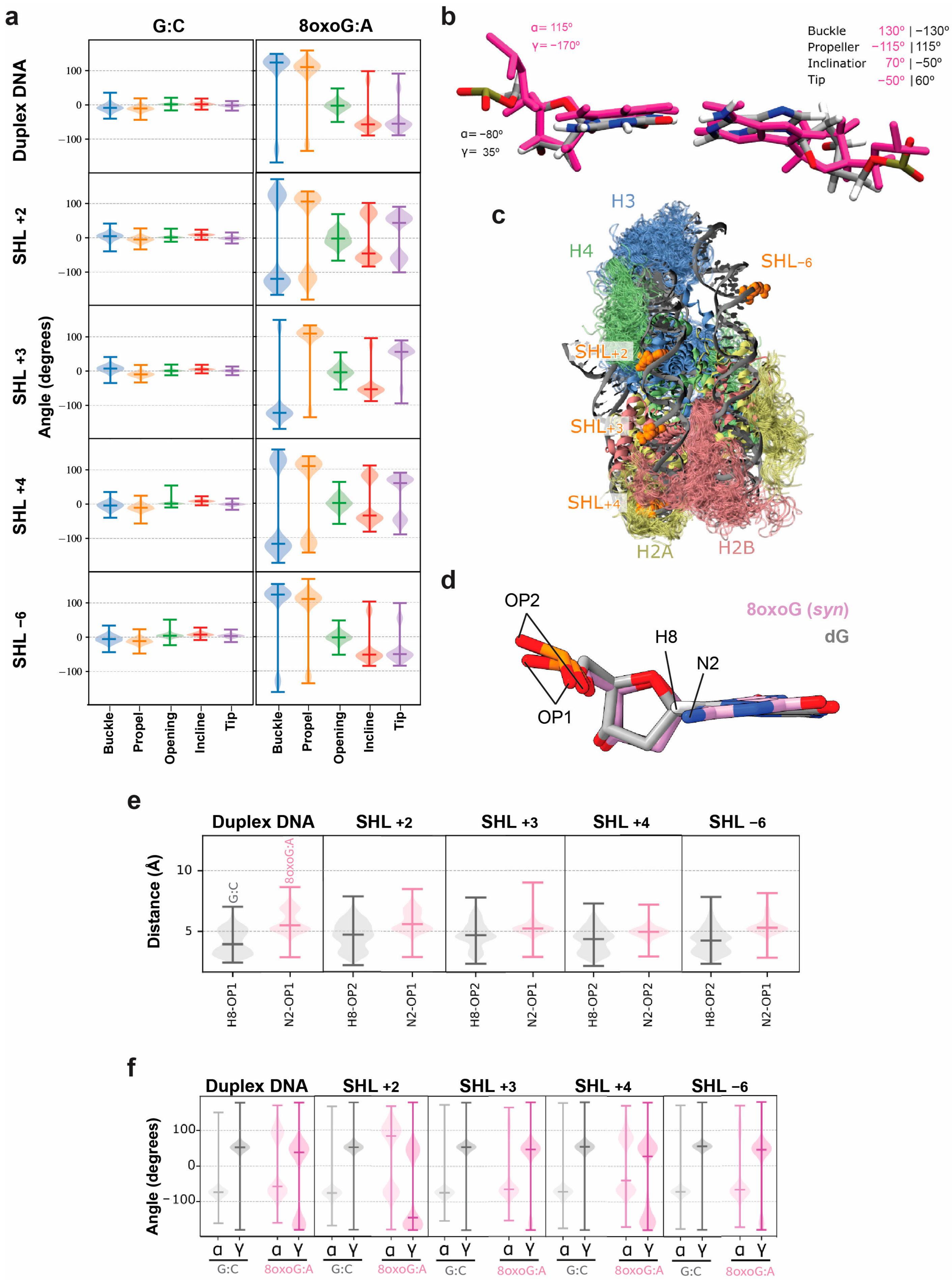 Biomolecules 16 00999 g004 Biomolecules 16 00999 g004