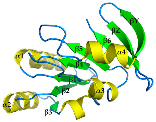S-Adenosyl-L-Homocysteine Hydrolase (SAHH): Structure, Function