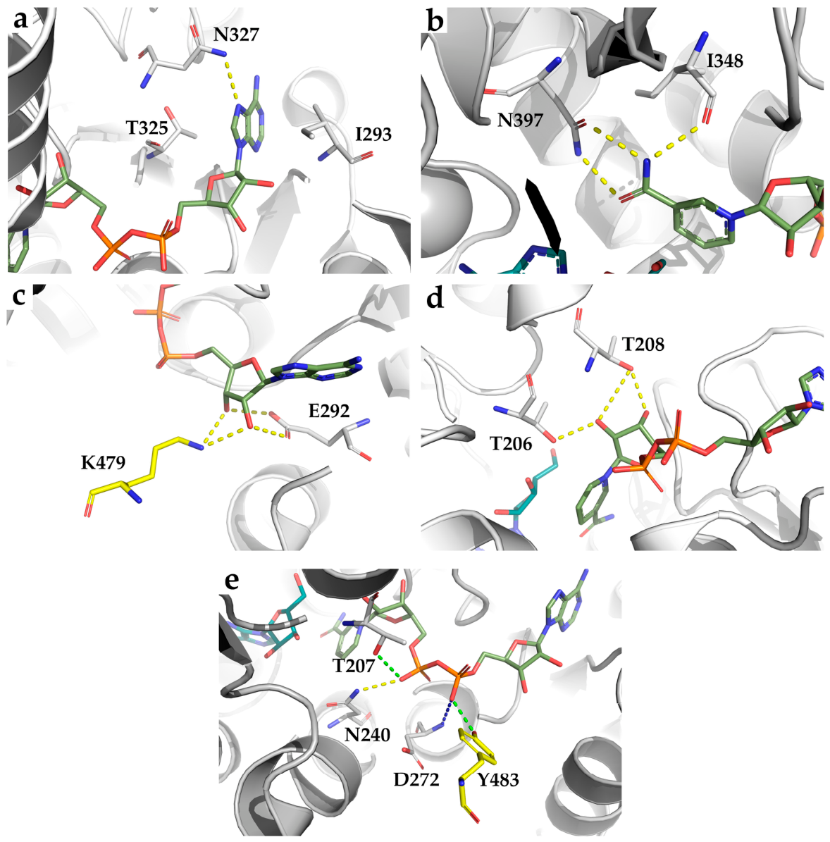 Biomolecules 16 01010 g010 Biomolecules 16 01010 g010
