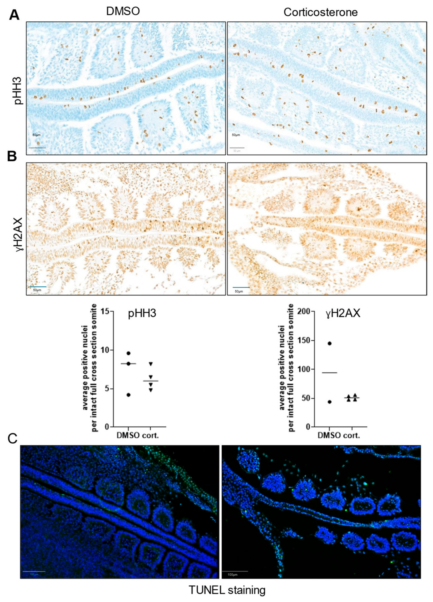 Biomolecules 16 01014 g005 Biomolecules 16 01014 g005