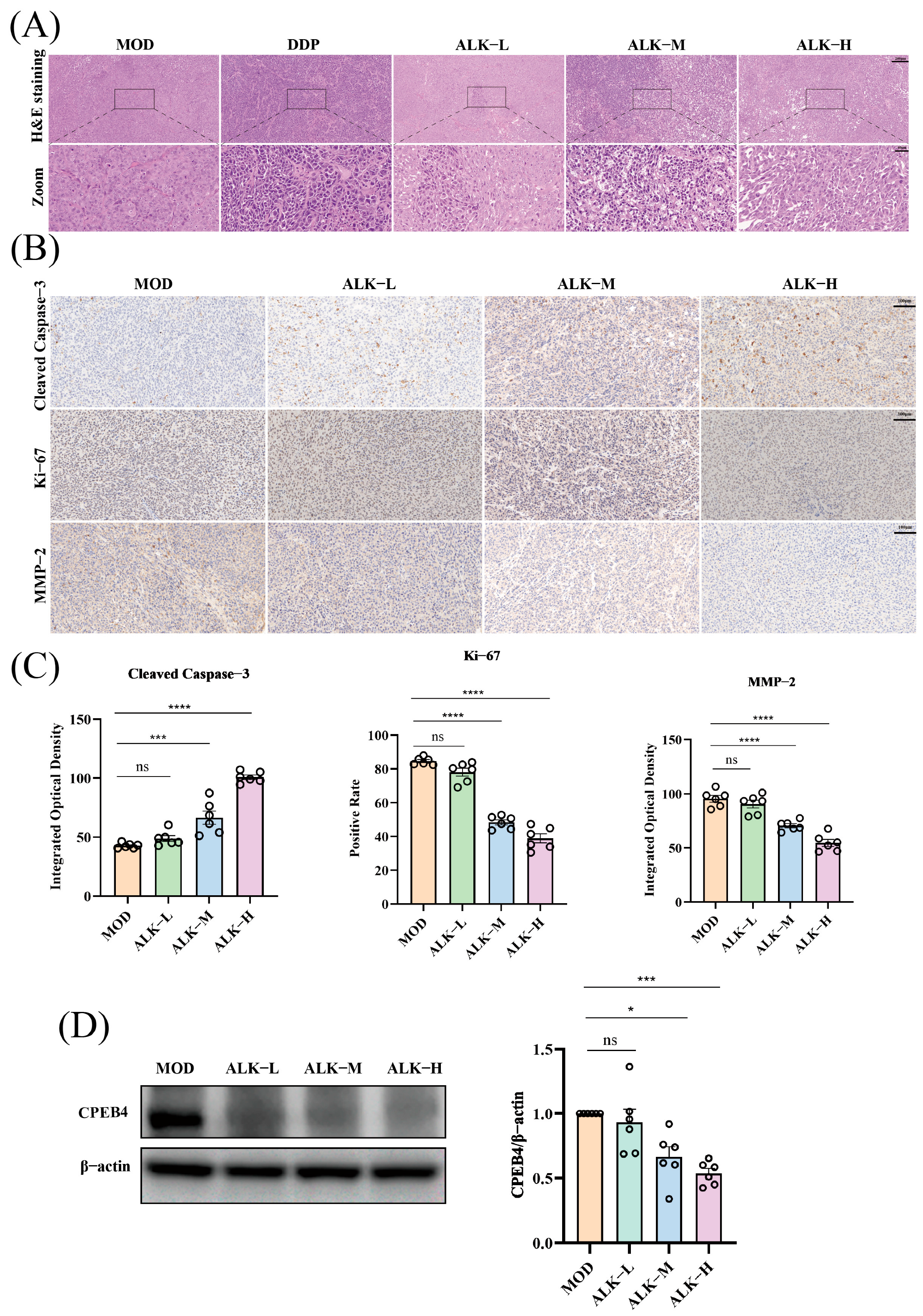 Biomolecules 16 01064 g003 Biomolecules 16 01064 g003