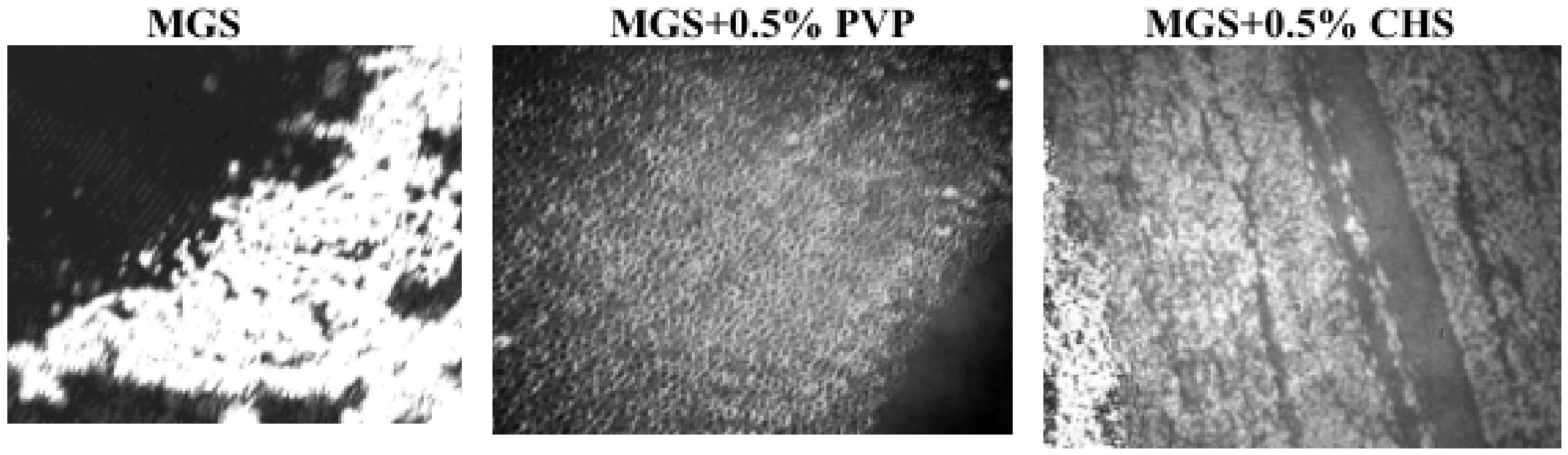 Biomolecules 16 01094 g007