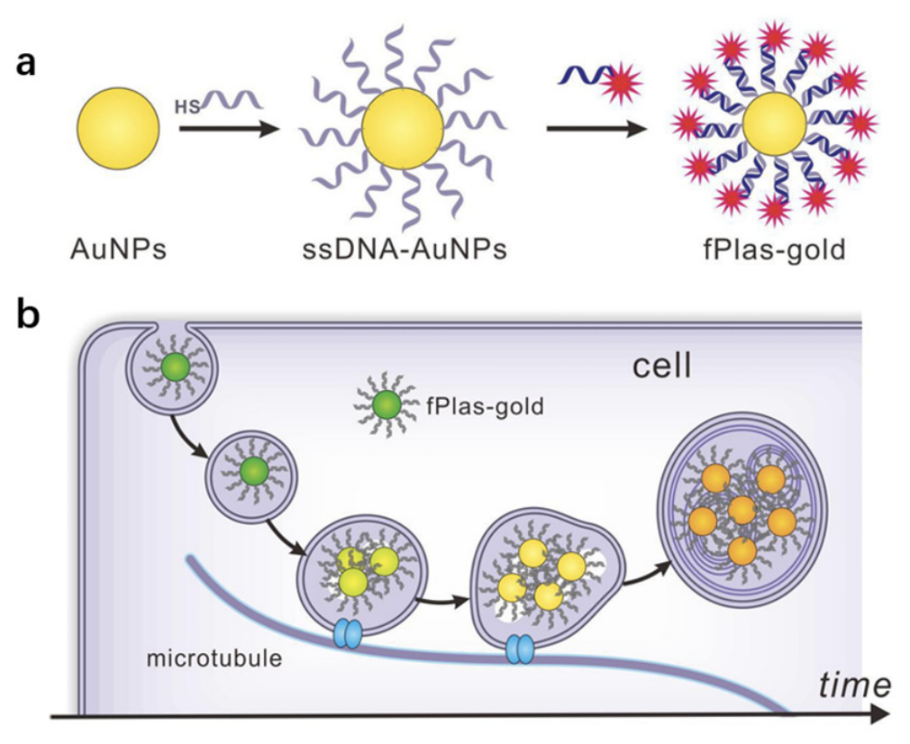 Biomolecules 16 01105 g008 Biomolecules 16 01105 g008