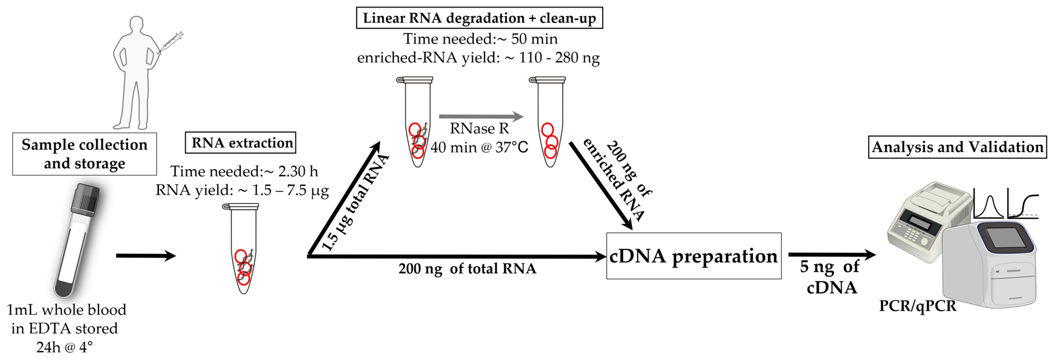 Biomolecules 16 01149 g005