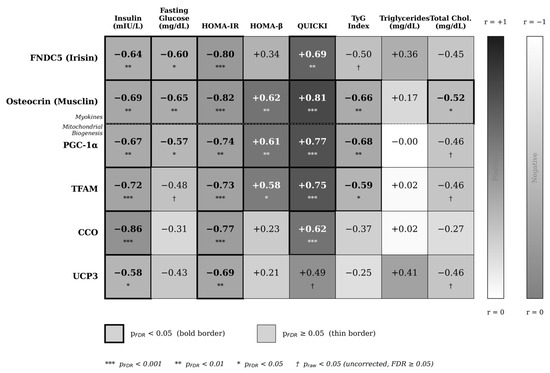 Non-Work-Matched HIIT and MIIT Partially Restore Exerkine-Related