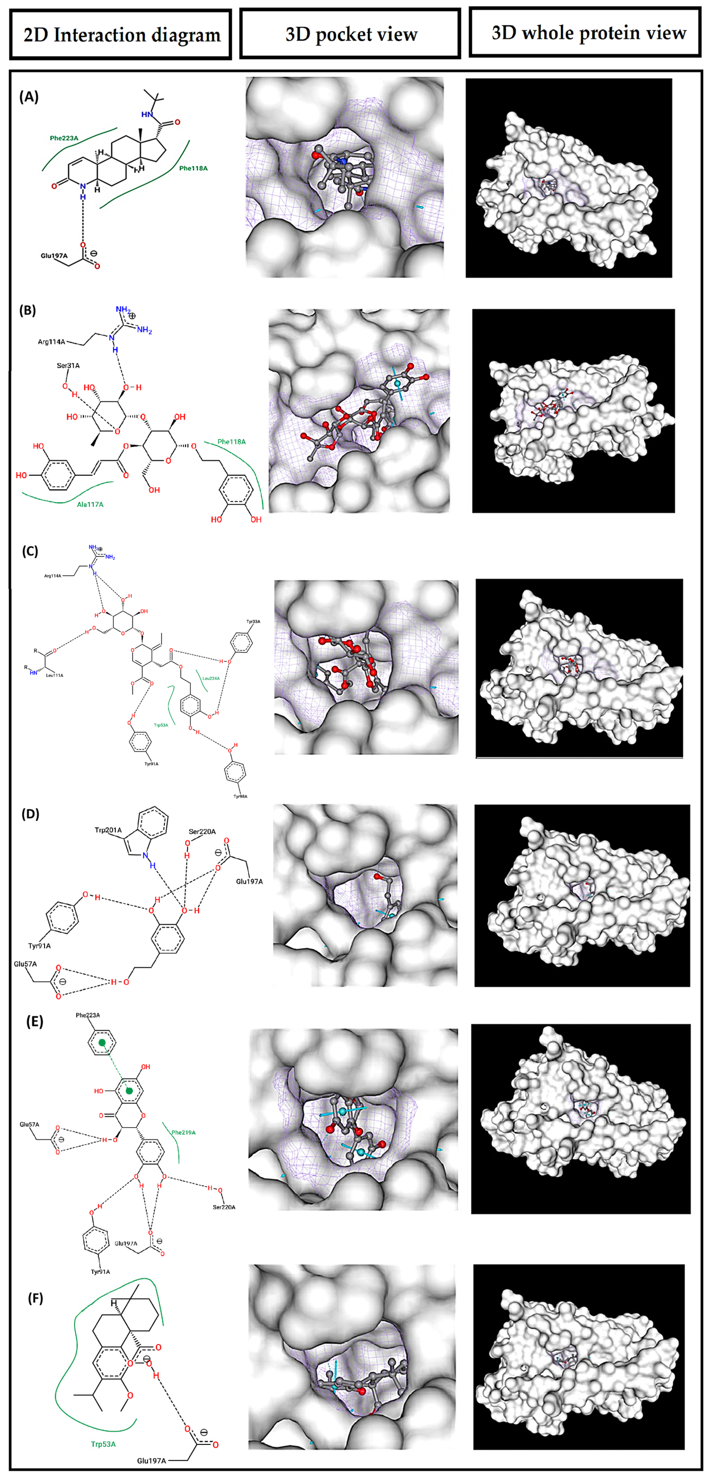 Biomolecules 16 01207 g001 Biomolecules 16 01207 g001