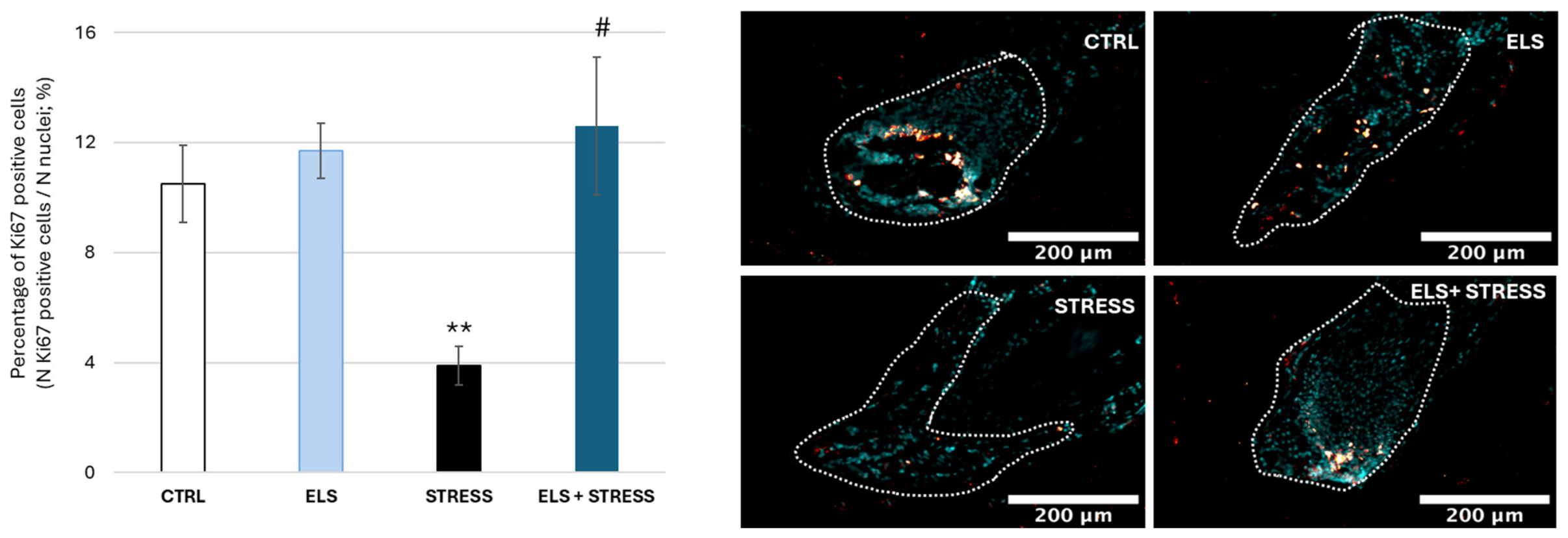 Biomolecules 16 01207 g005 Biomolecules 16 01207 g005