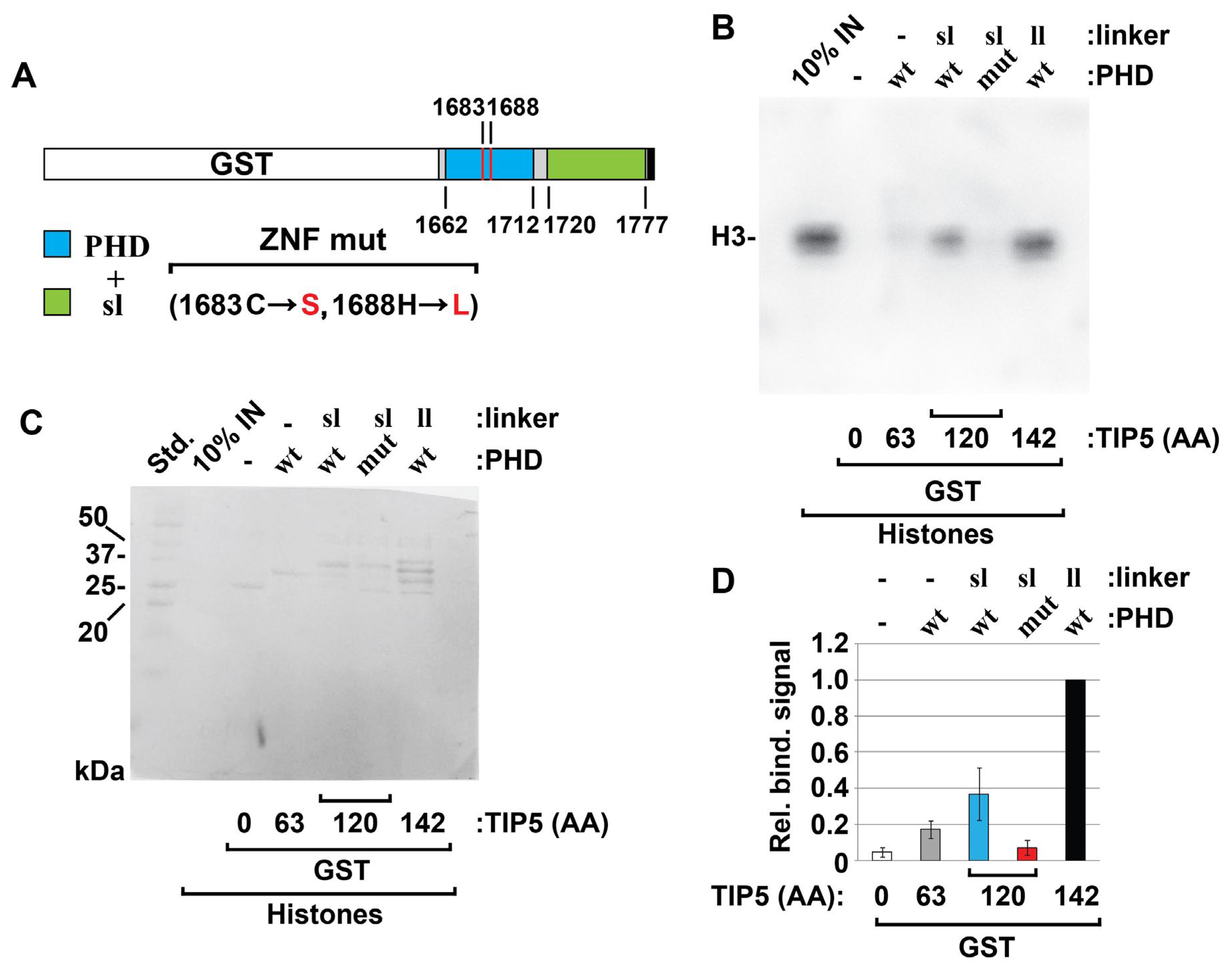 Biomolecules 16 01209 g004 Biomolecules 16 01209 g004