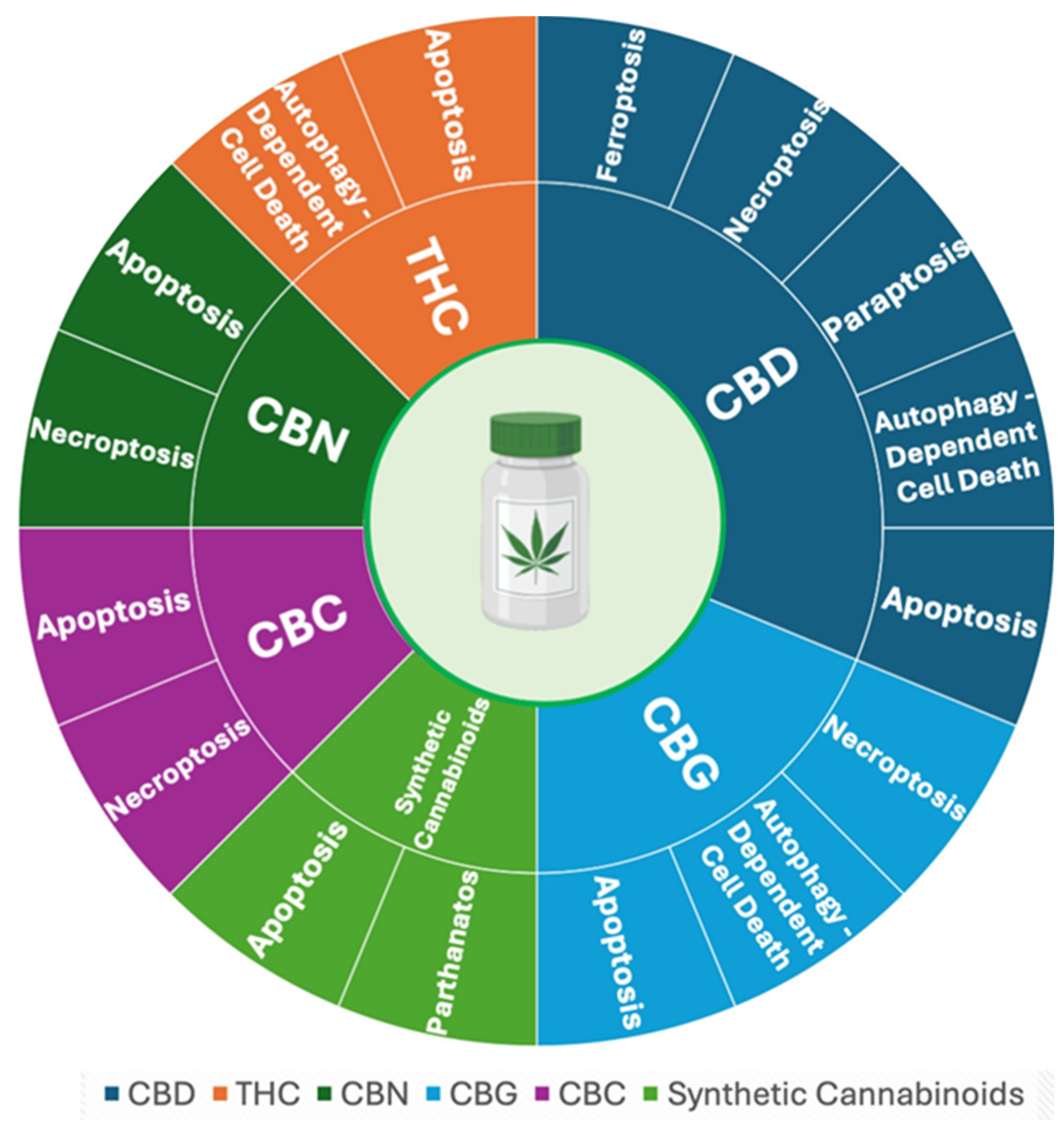 l-glutathione potentiate thc Cannabinoids in Cancer: Molecular Mechanisms of Tumor Cell Death and Translational Opportunities iWhite Korea Glow-Up Whip
