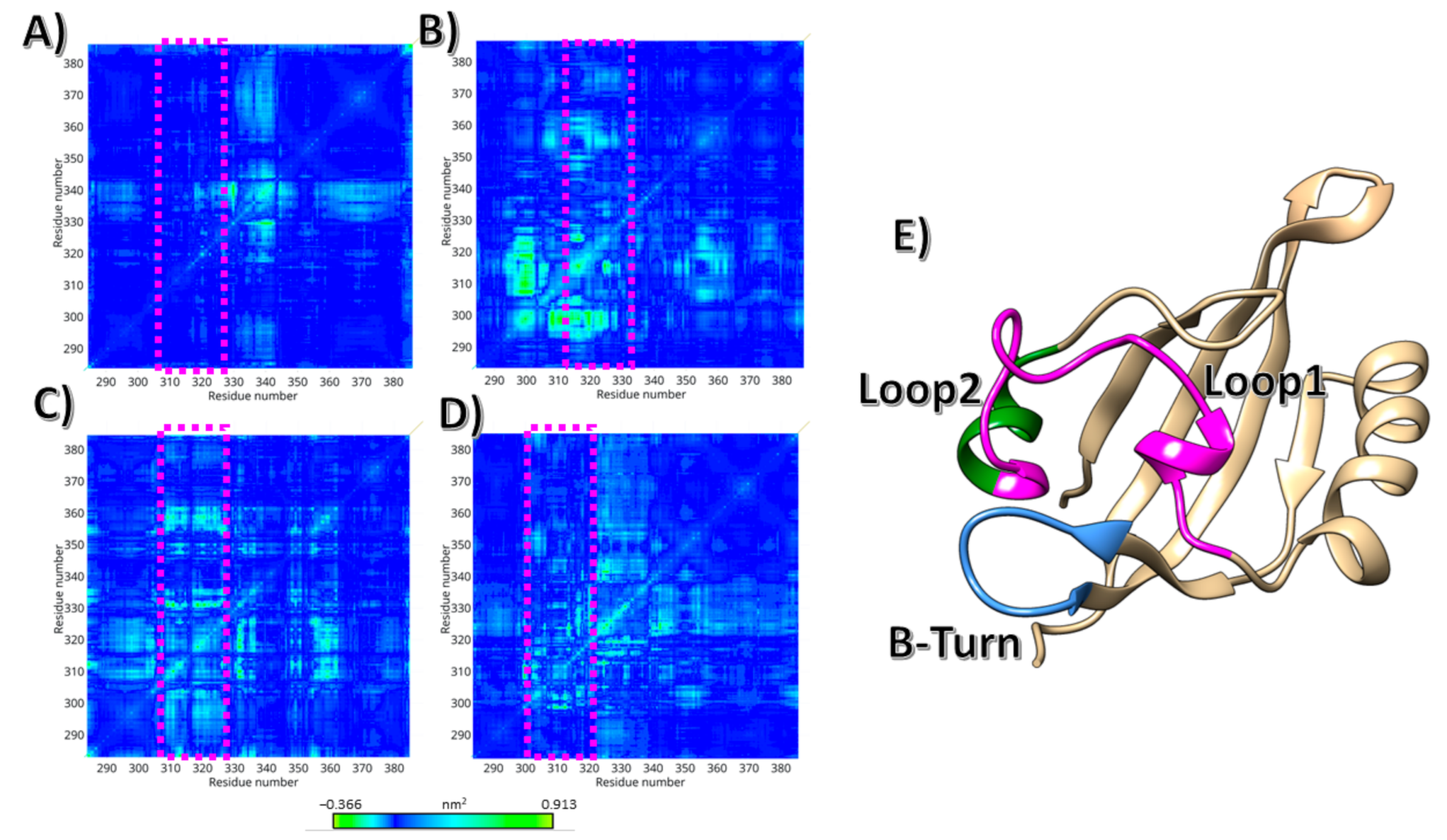 Biophysica 01 00001 g001