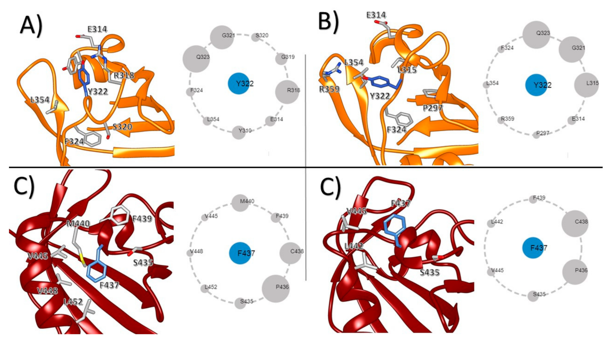Biophysica 01 00001 g006