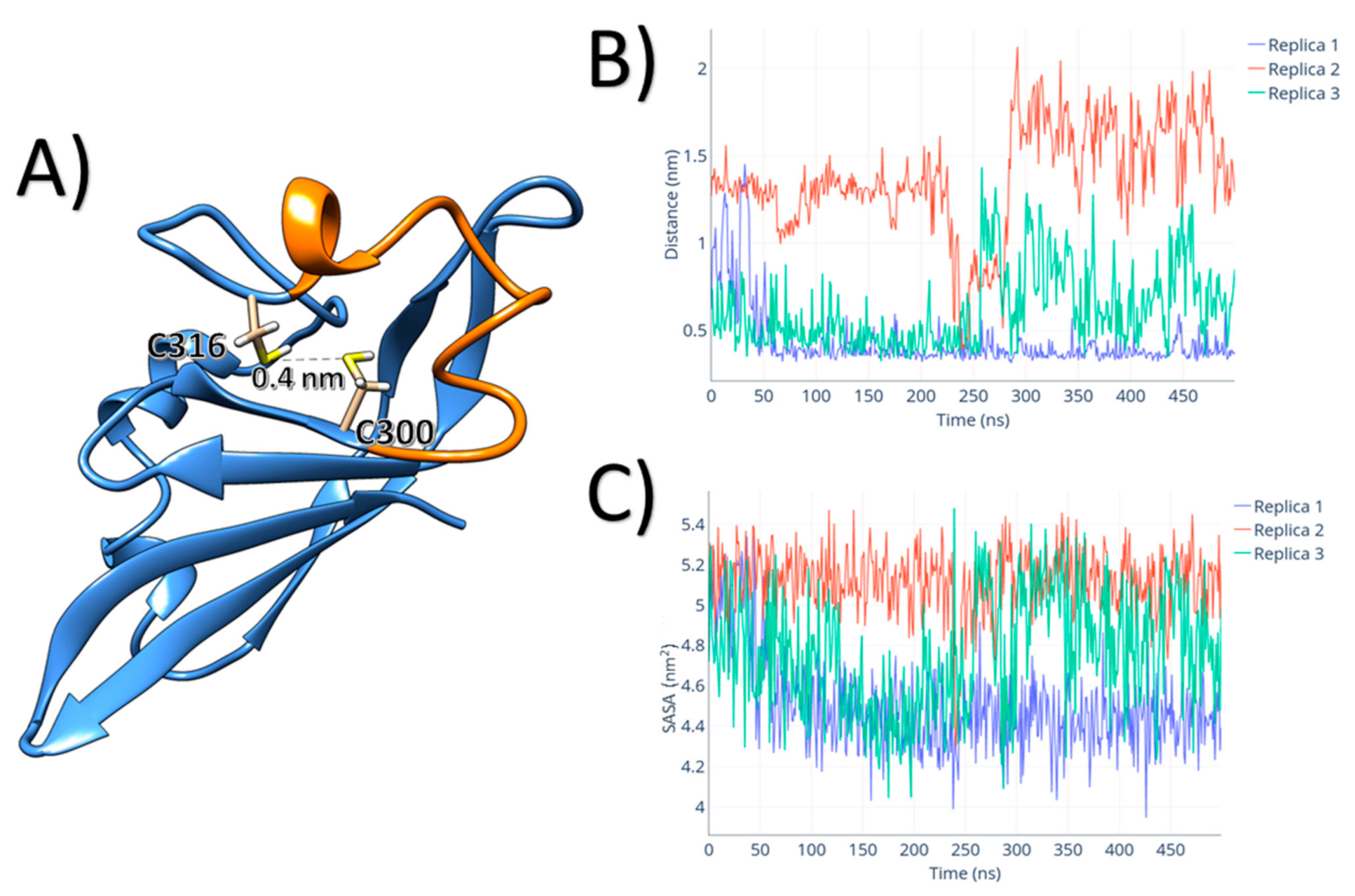 Biophysica 01 00001 g007