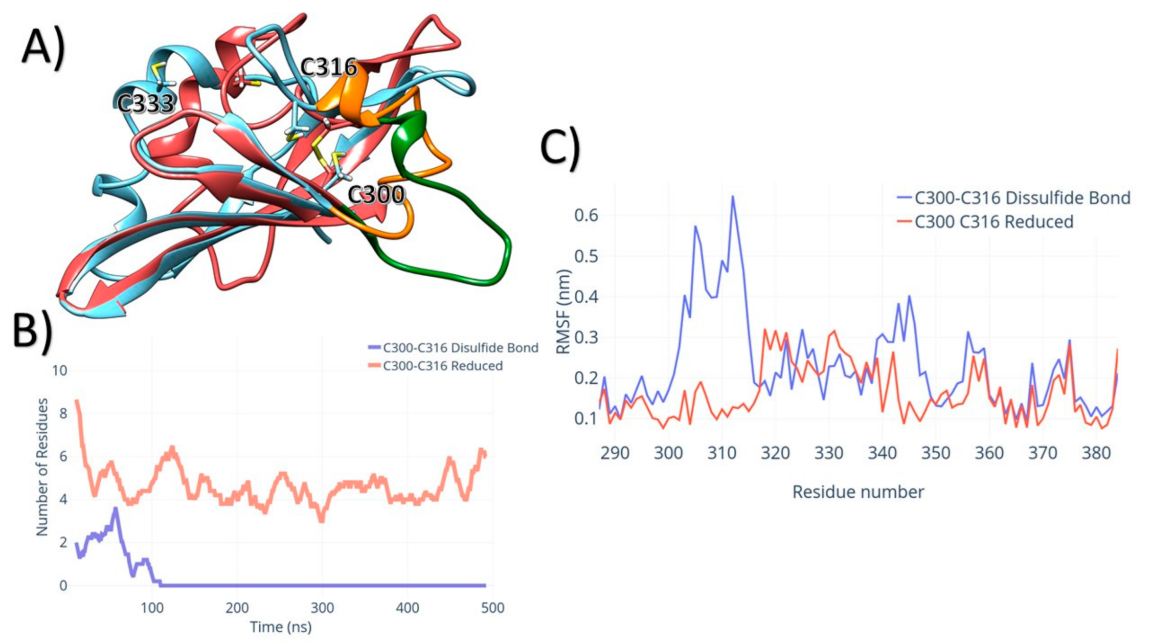 Biophysica 01 00001 g008