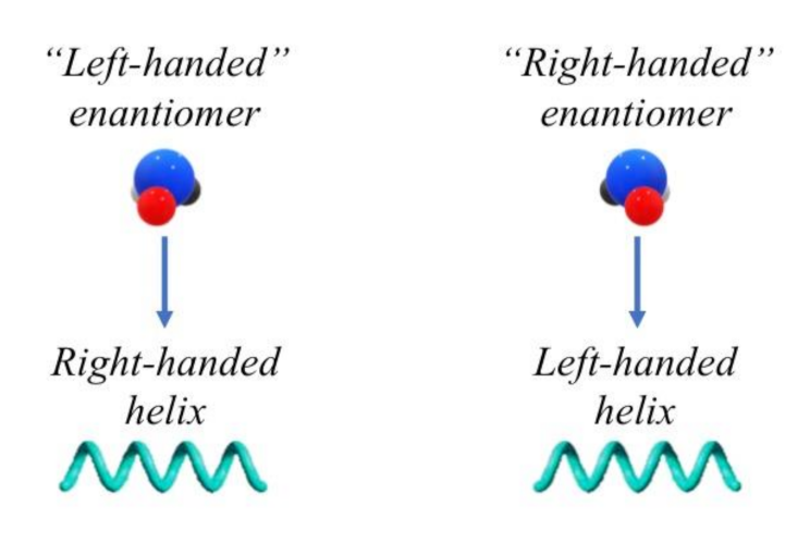 Biophysica 01 00003 g002