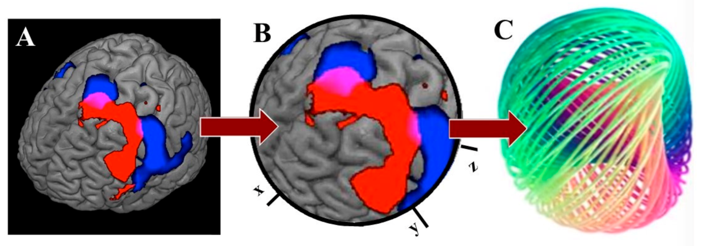 Biophysica 01 00004 g002
