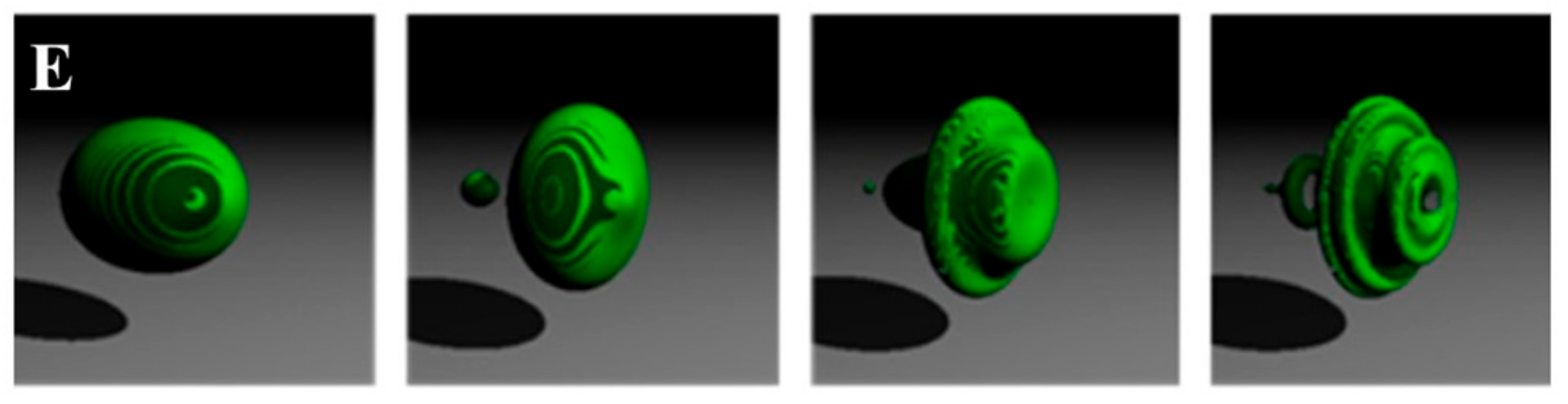 Biophysica 01 00004 g004b